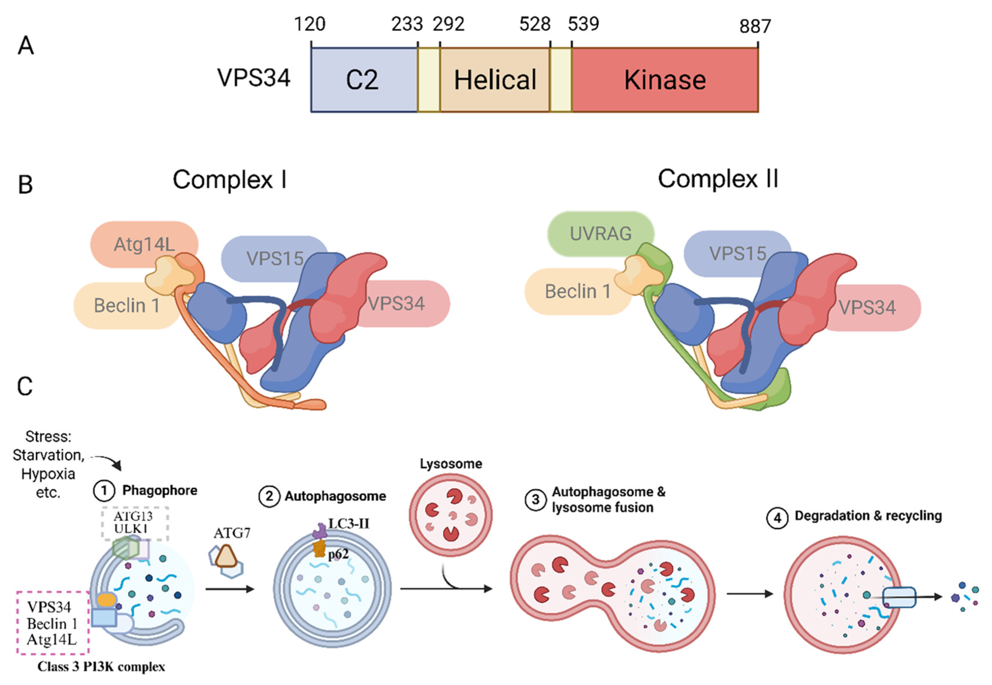 Preprints 201281 g001