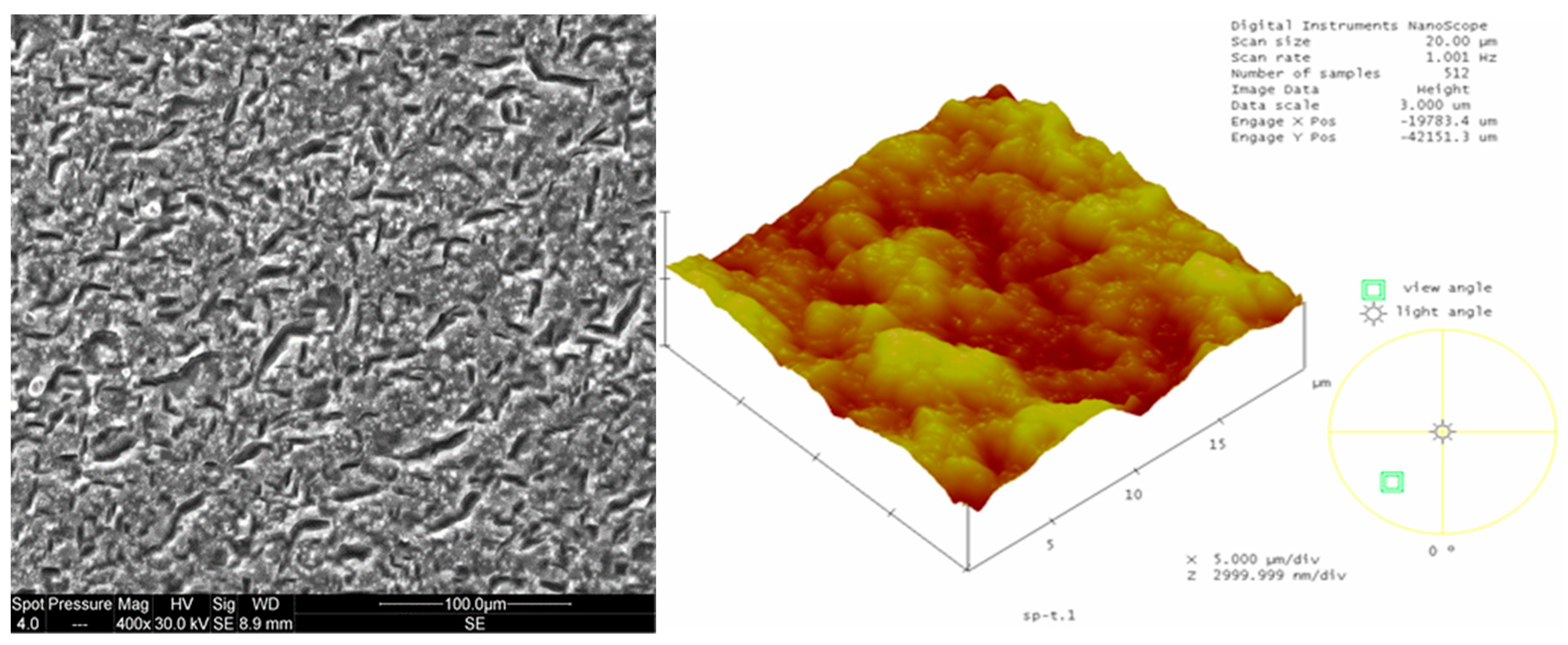 Preprints 153681 g002