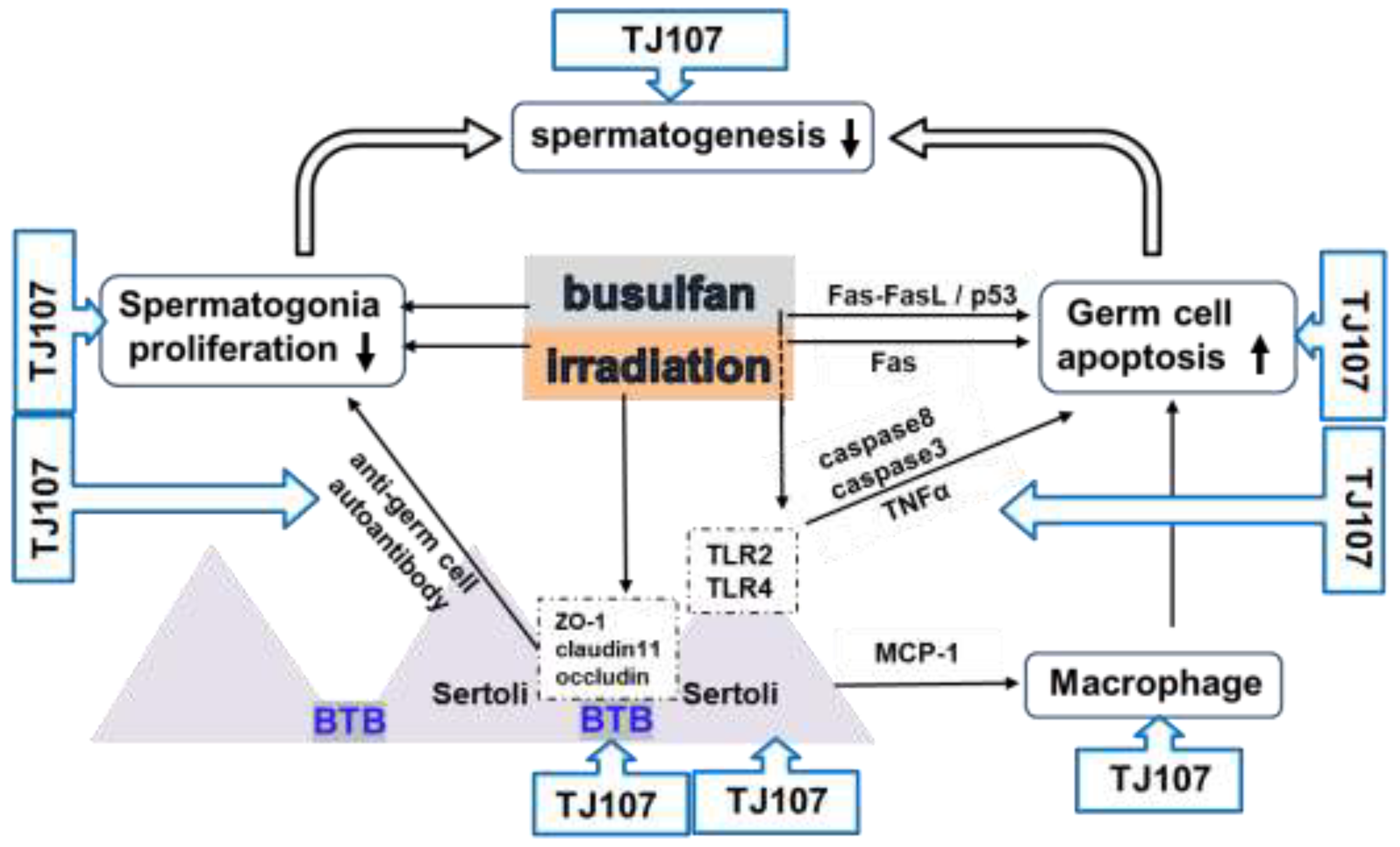 Preprints 149364 g001