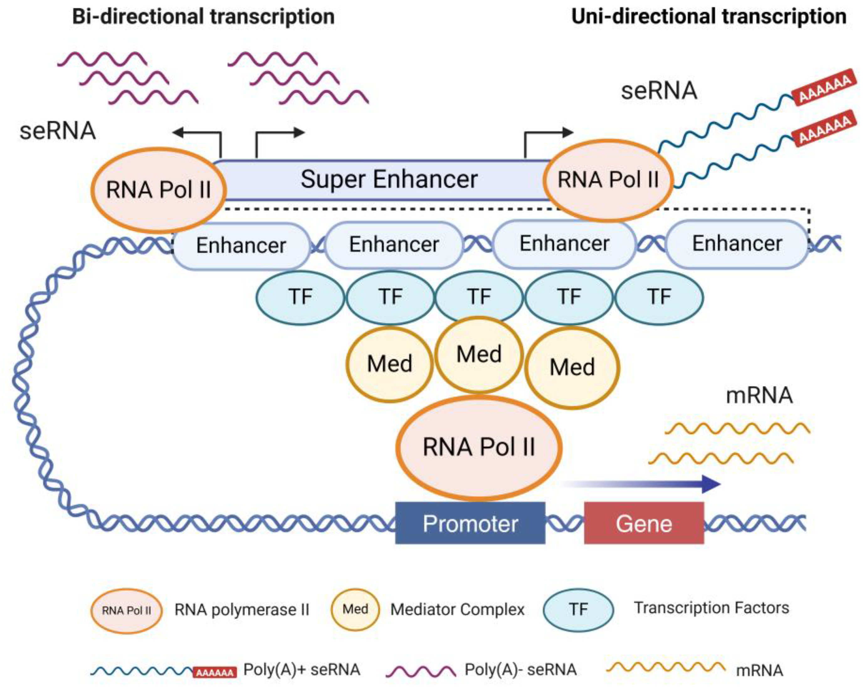 Preprints 143468 g001