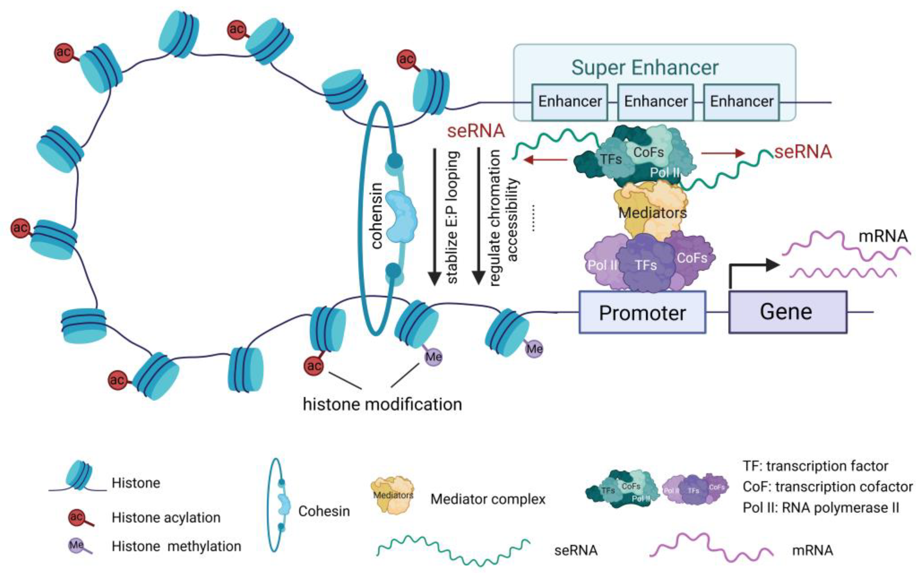 Preprints 143468 g002