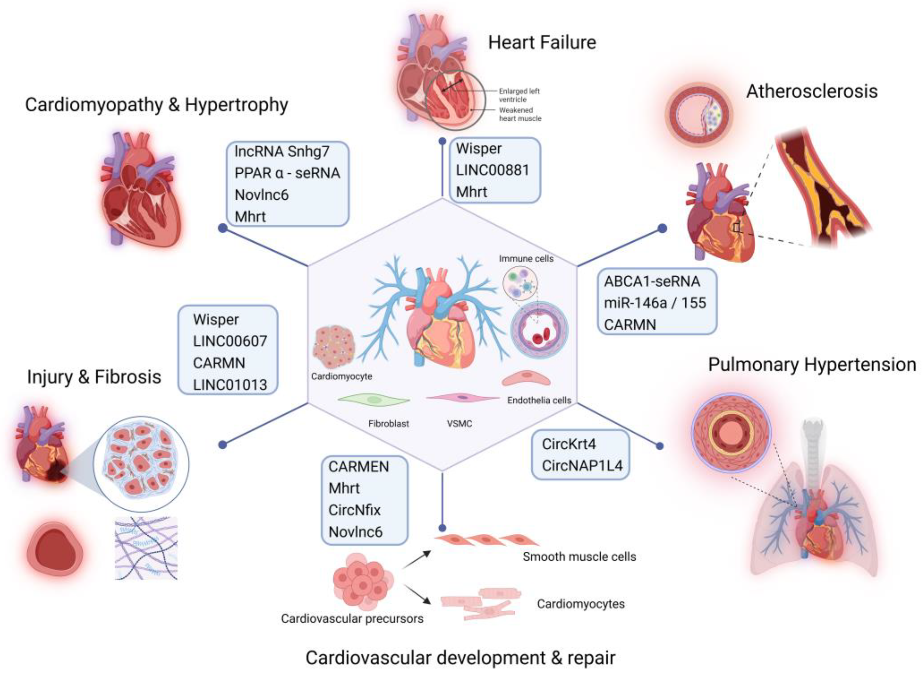Preprints 143468 g003