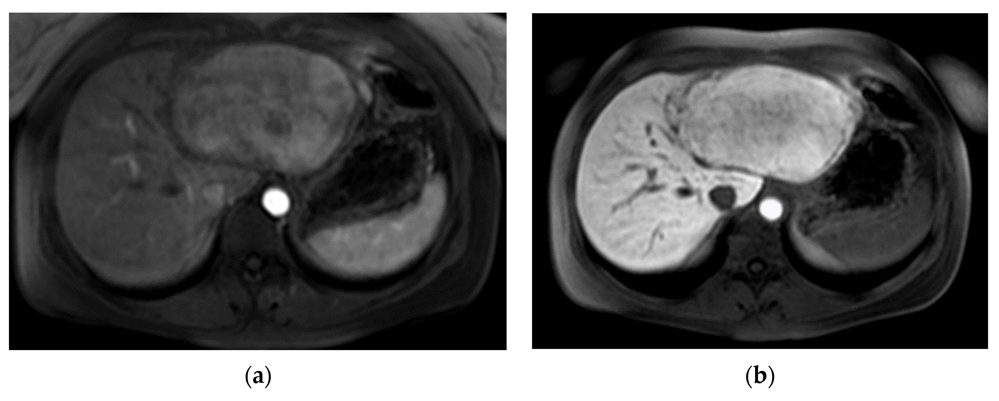 Preprints 90631 g002a
