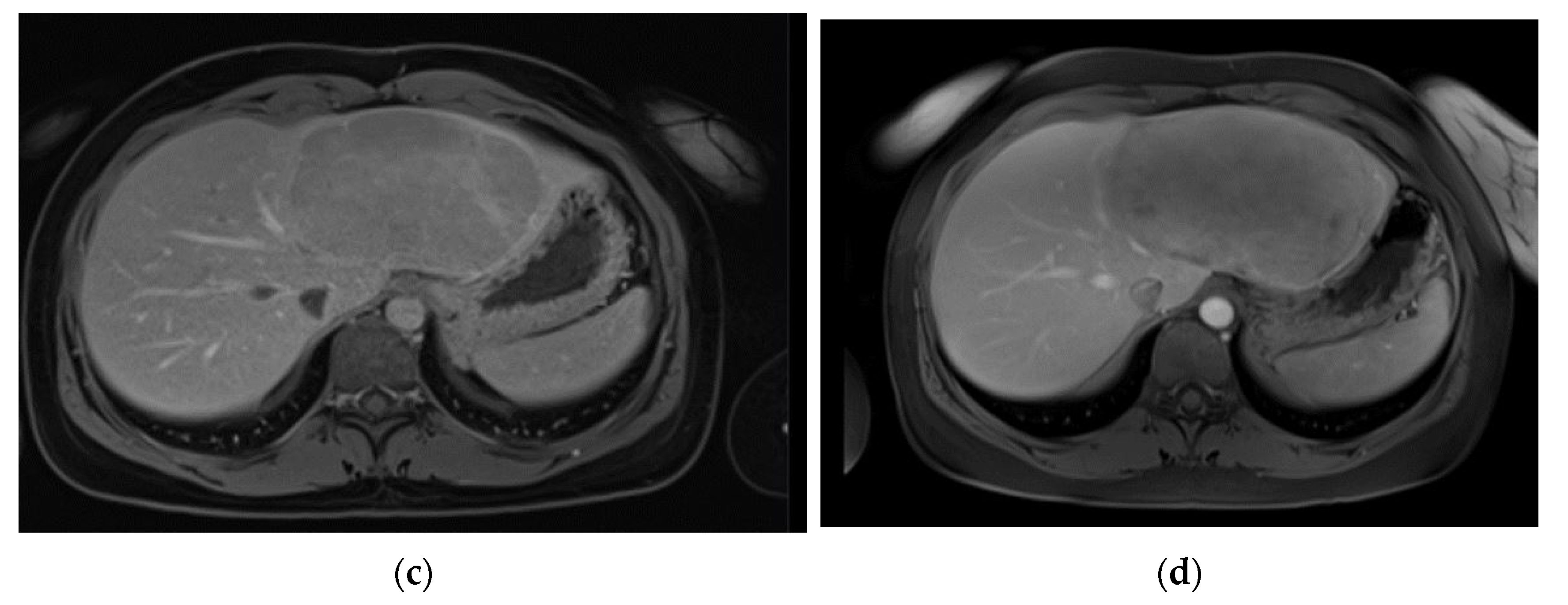 Preprints 90631 g002b