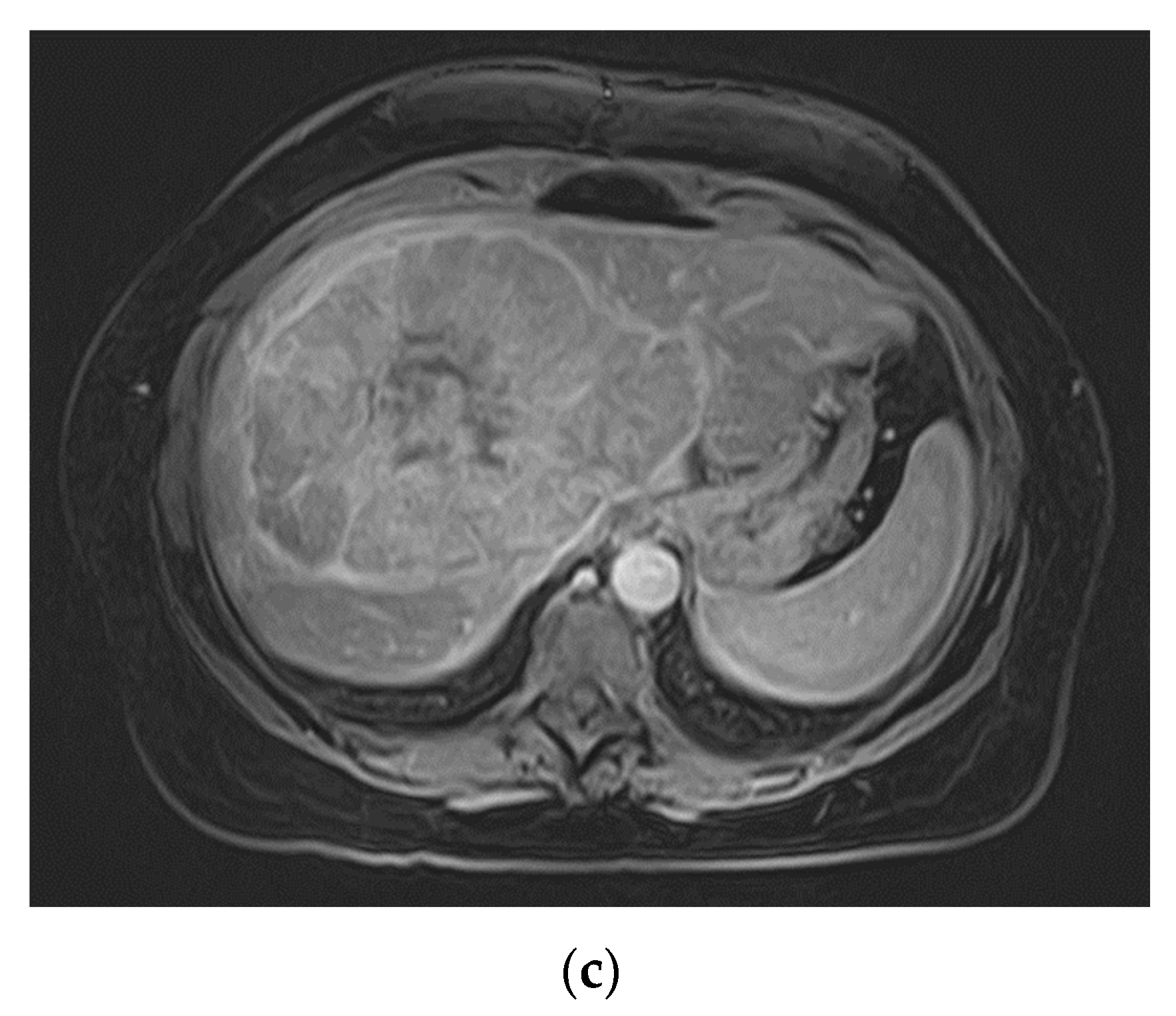Preprints 90631 g003b