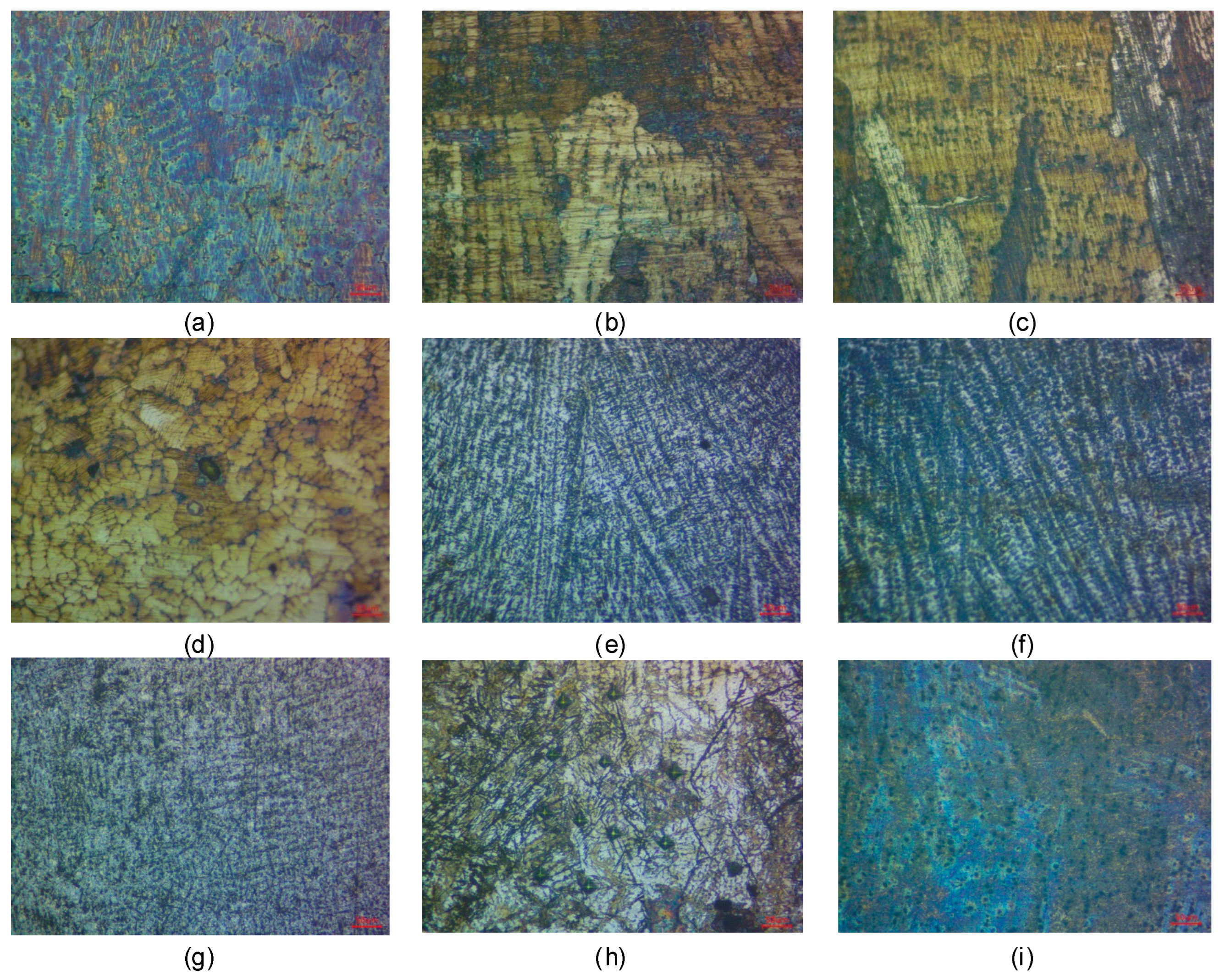 Preprints 158030 g006