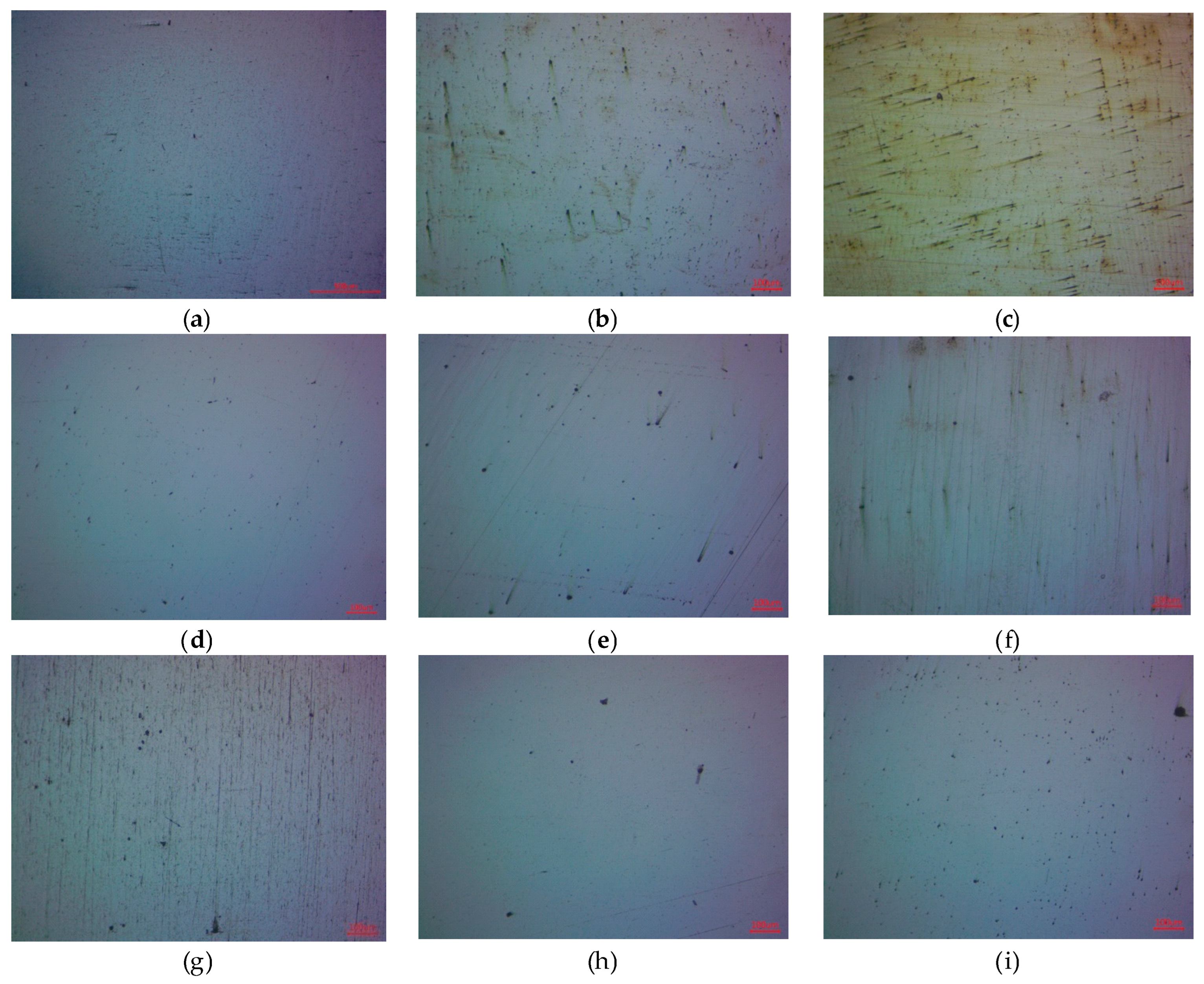 Preprints 158030 g013
