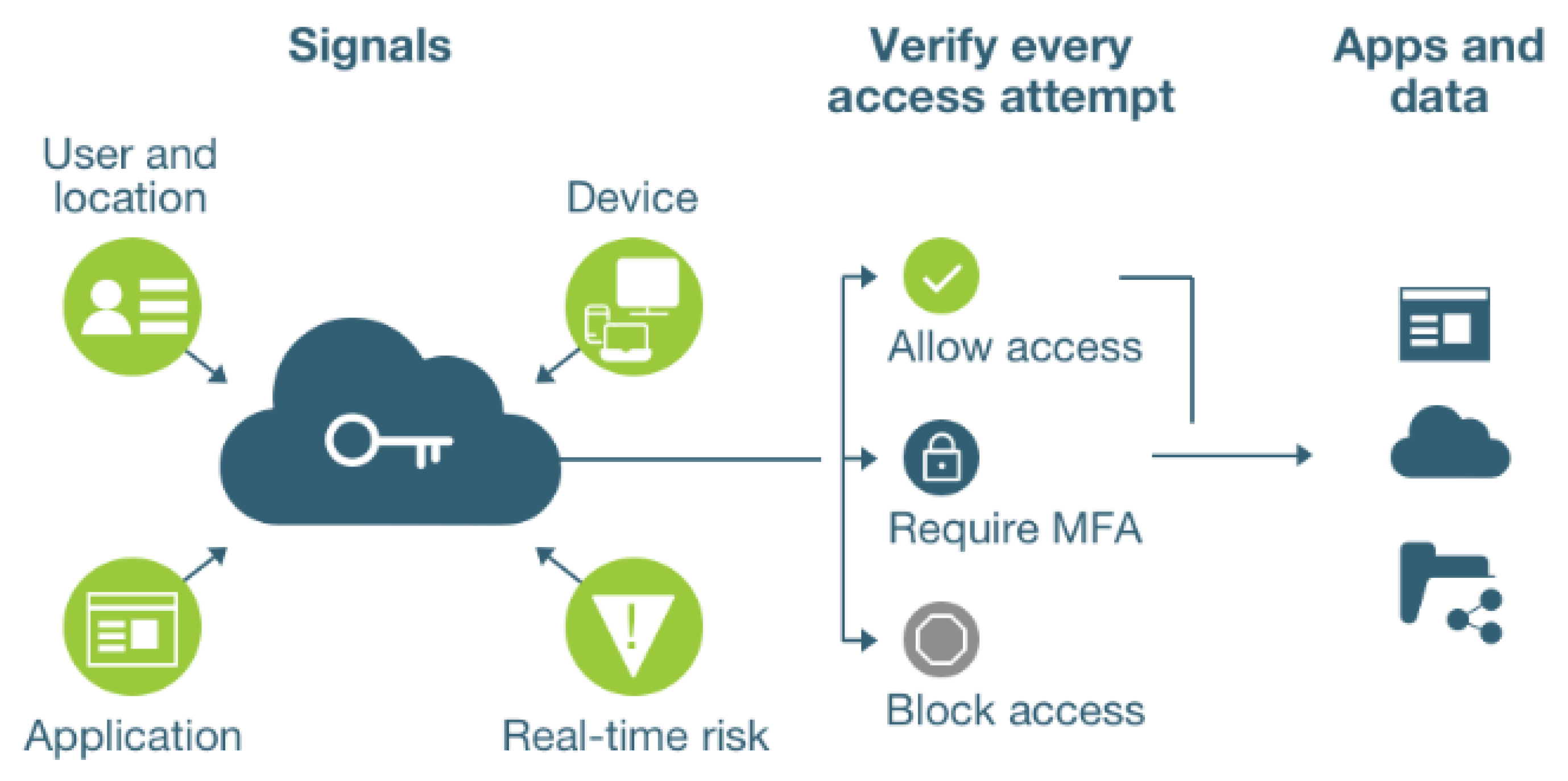 Preprints 146097 g002