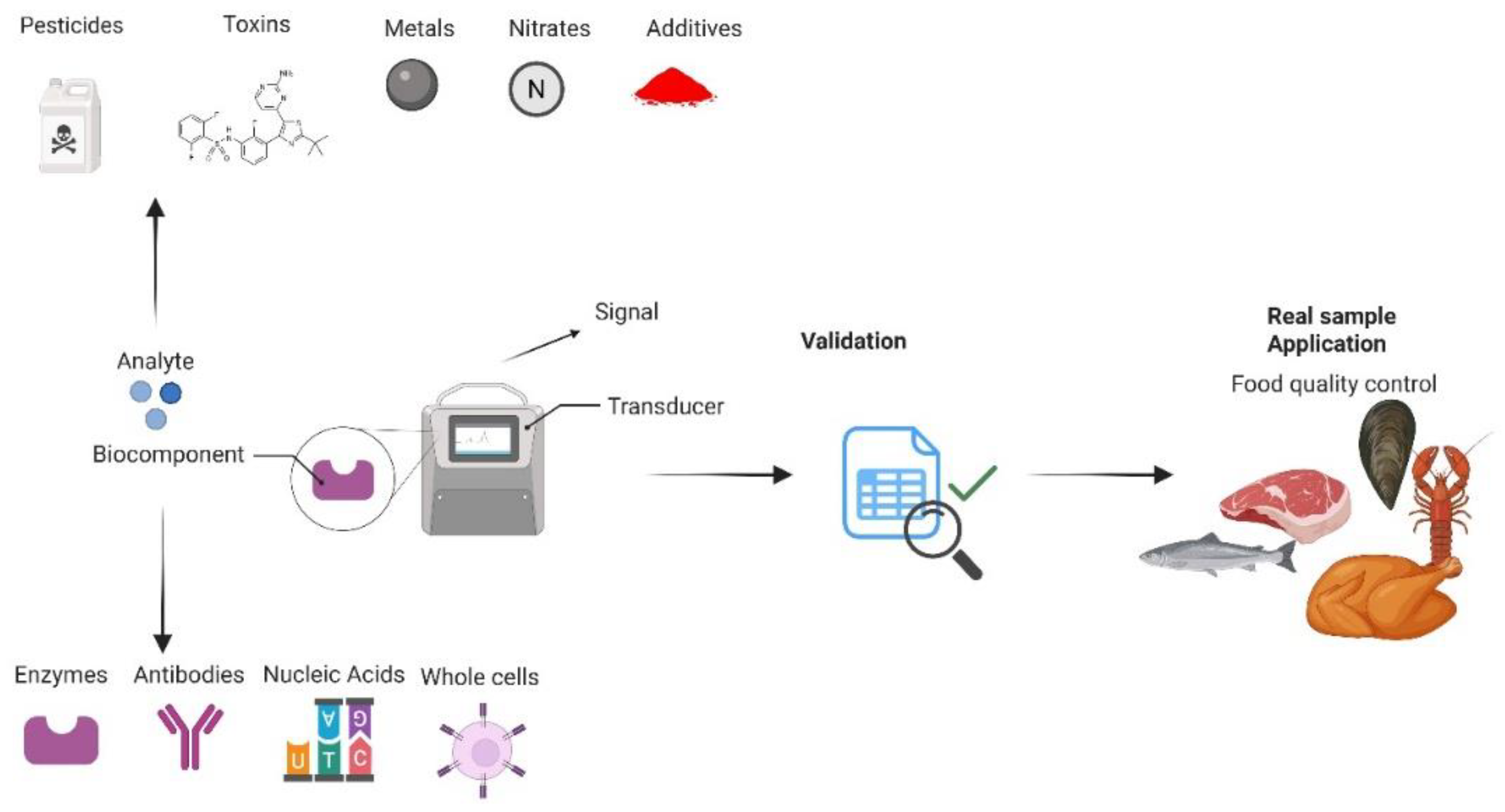 Preprints 160086 g001
