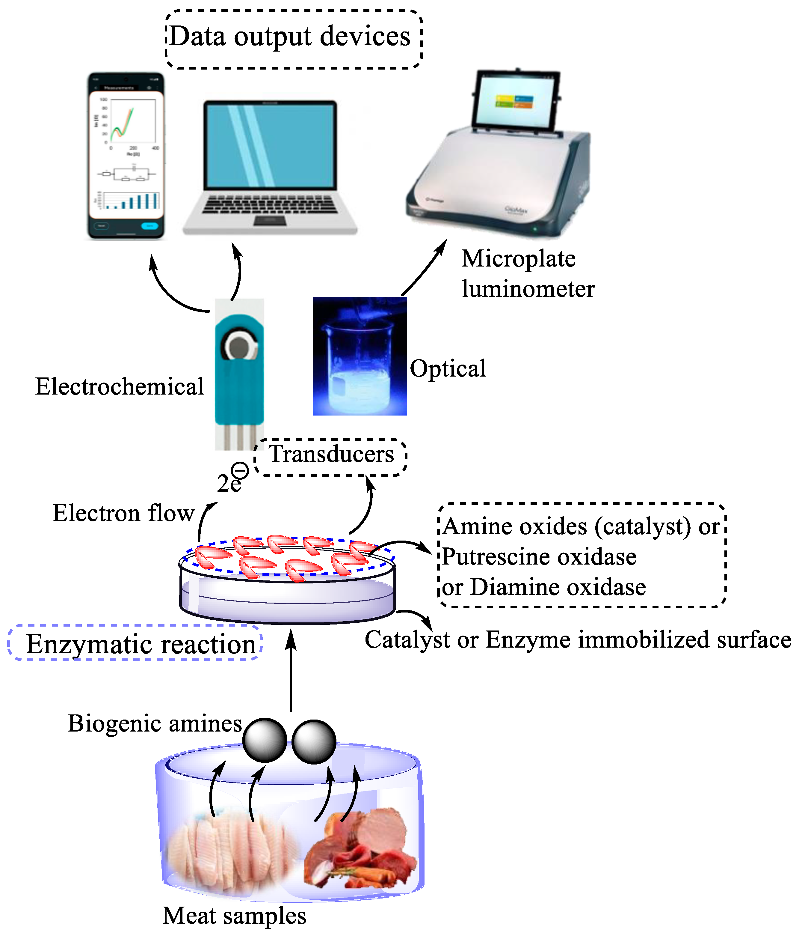 Preprints 160086 g002