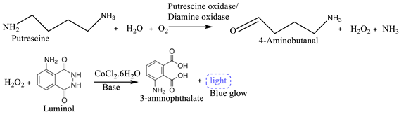 Preprints 160086 i003