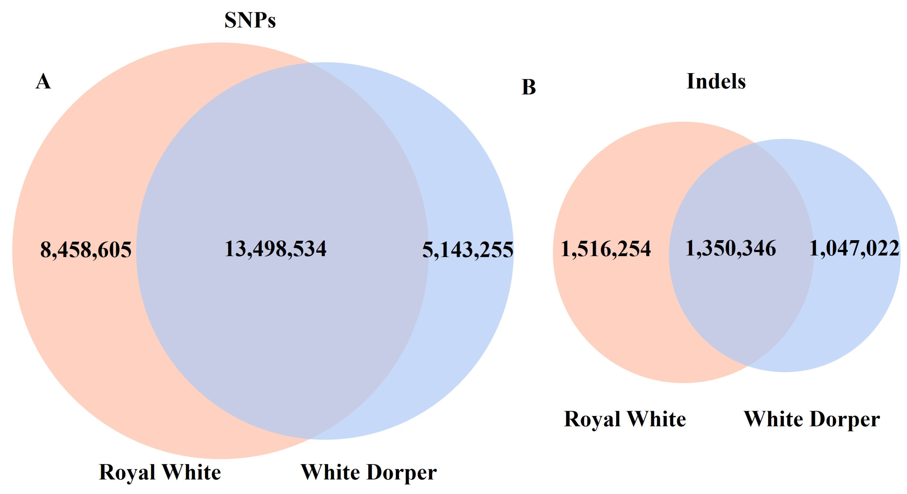 Preprints 197263 g001