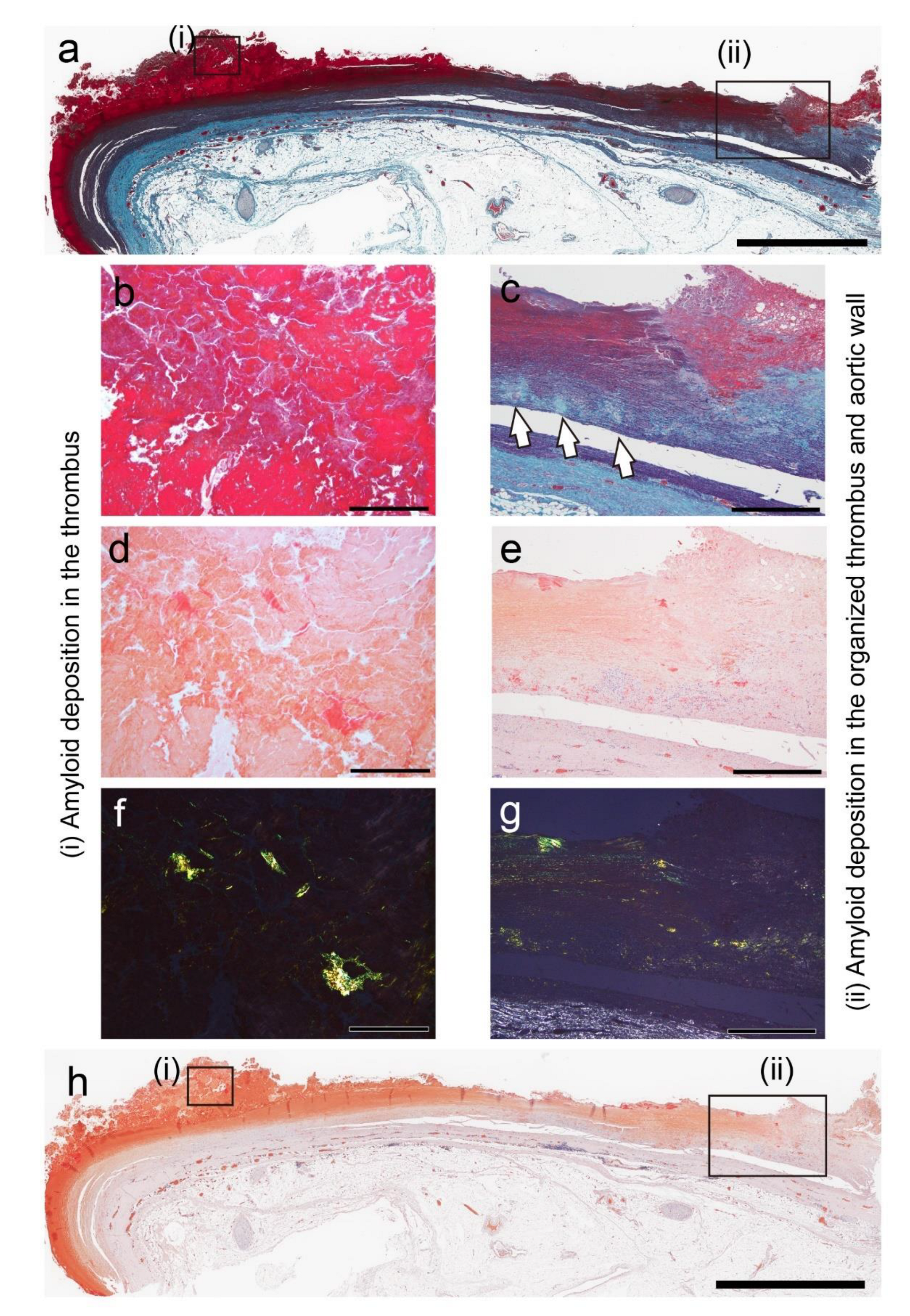Preprints 155599 g001