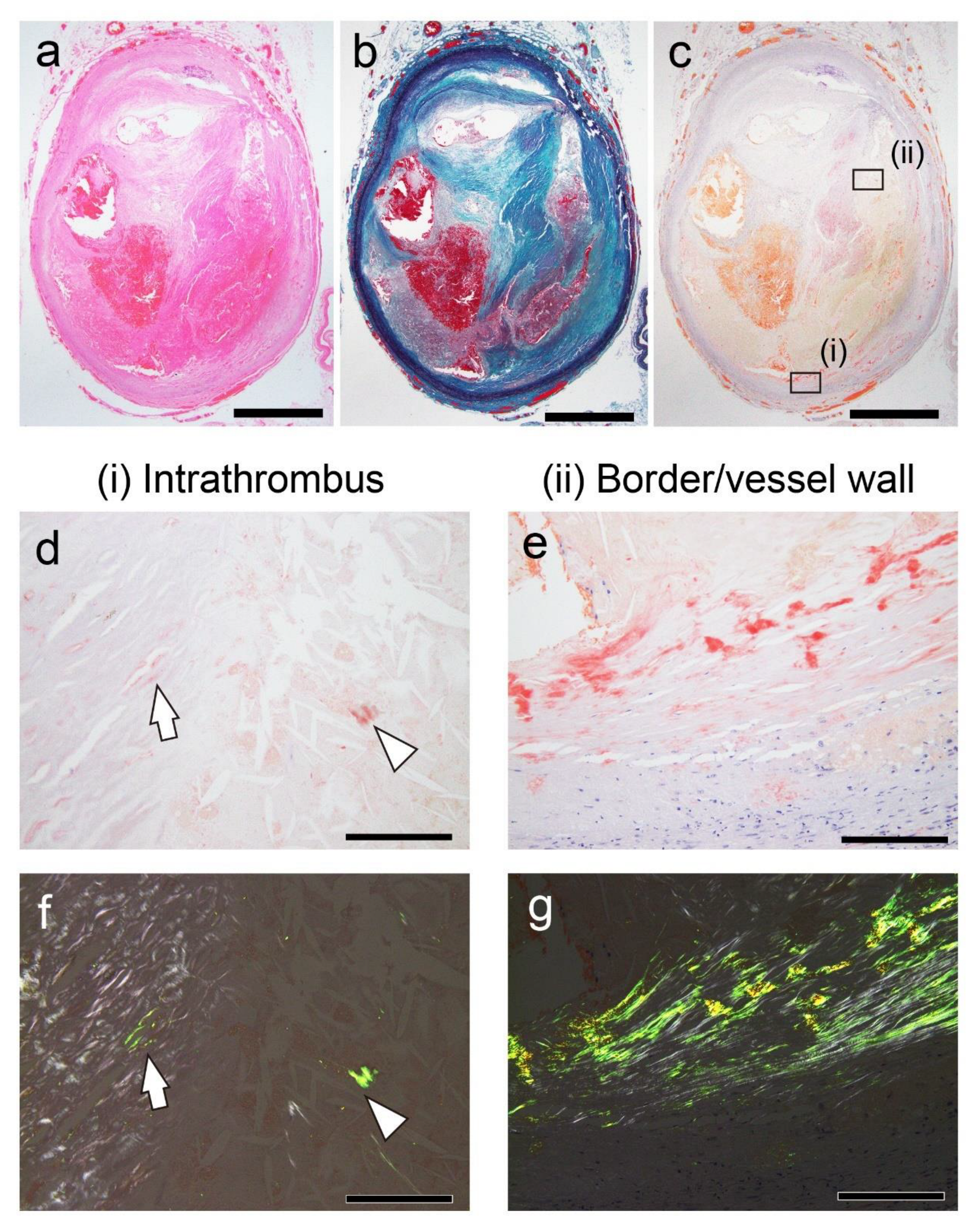 Preprints 155599 g002