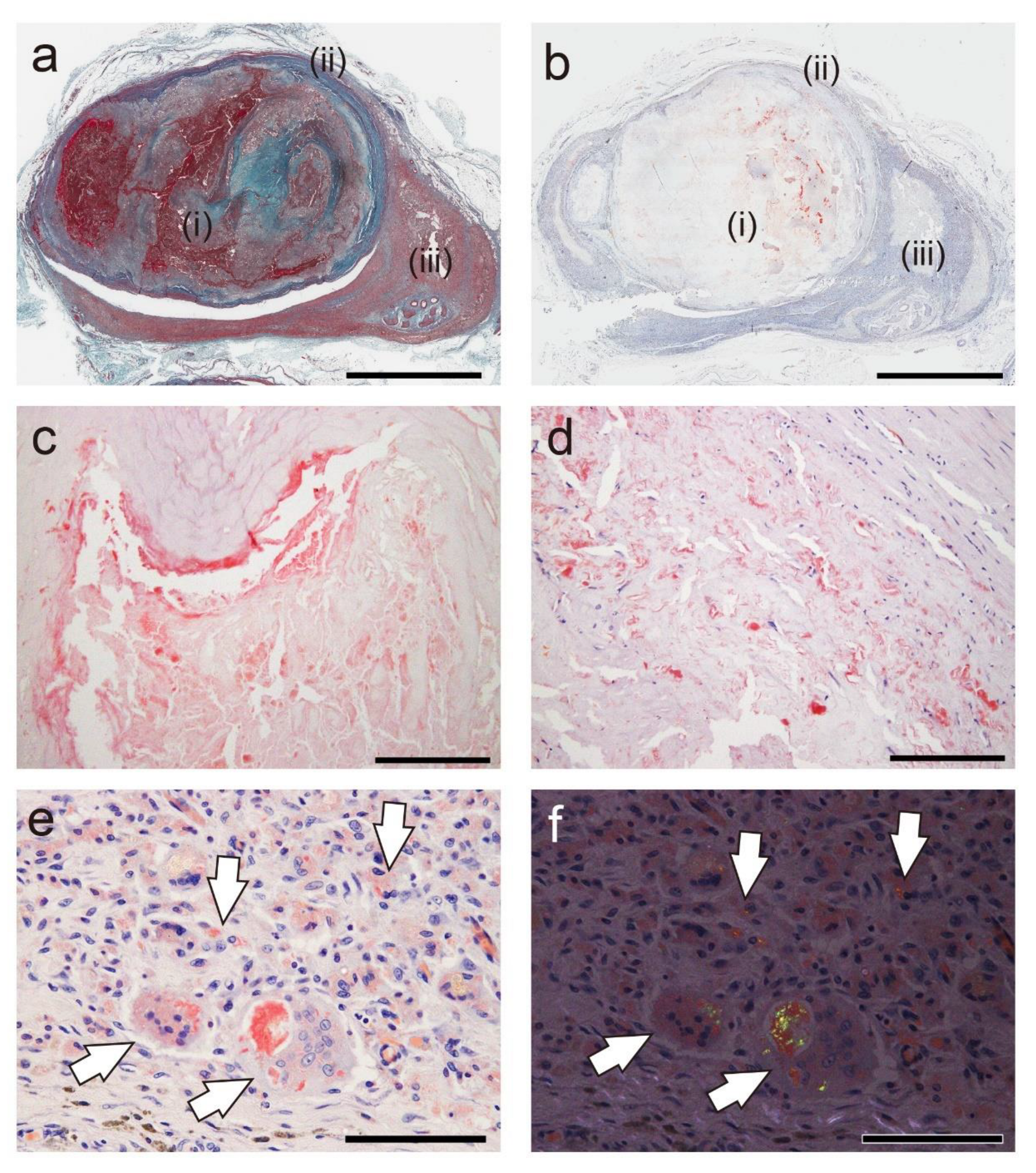 Preprints 155599 g003