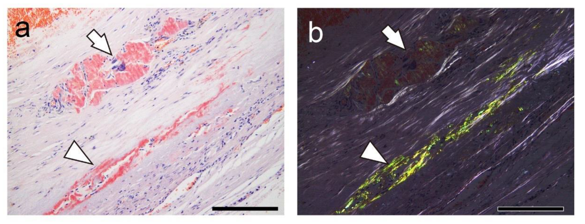 Preprints 155599 g004