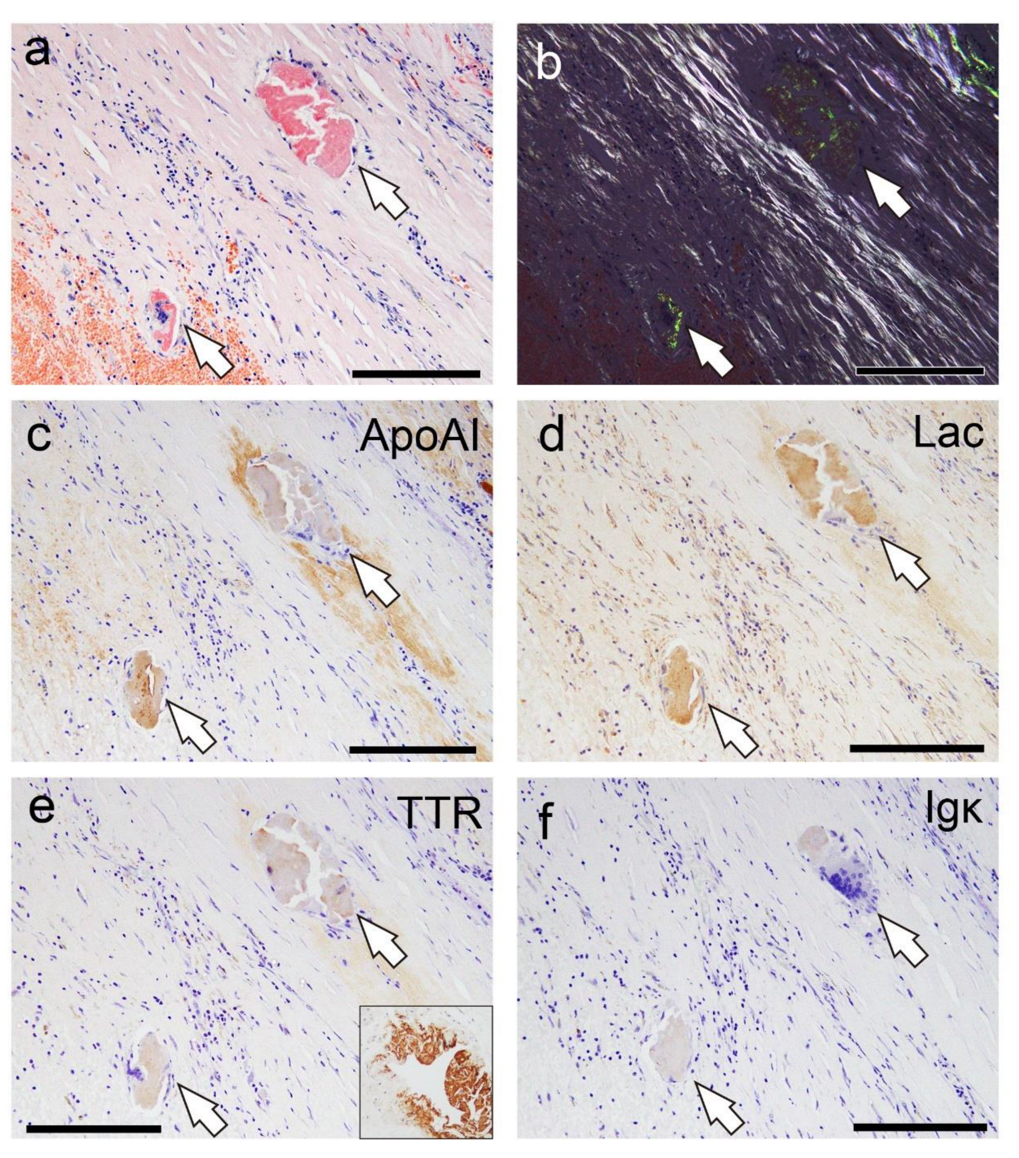 Preprints 155599 g006
