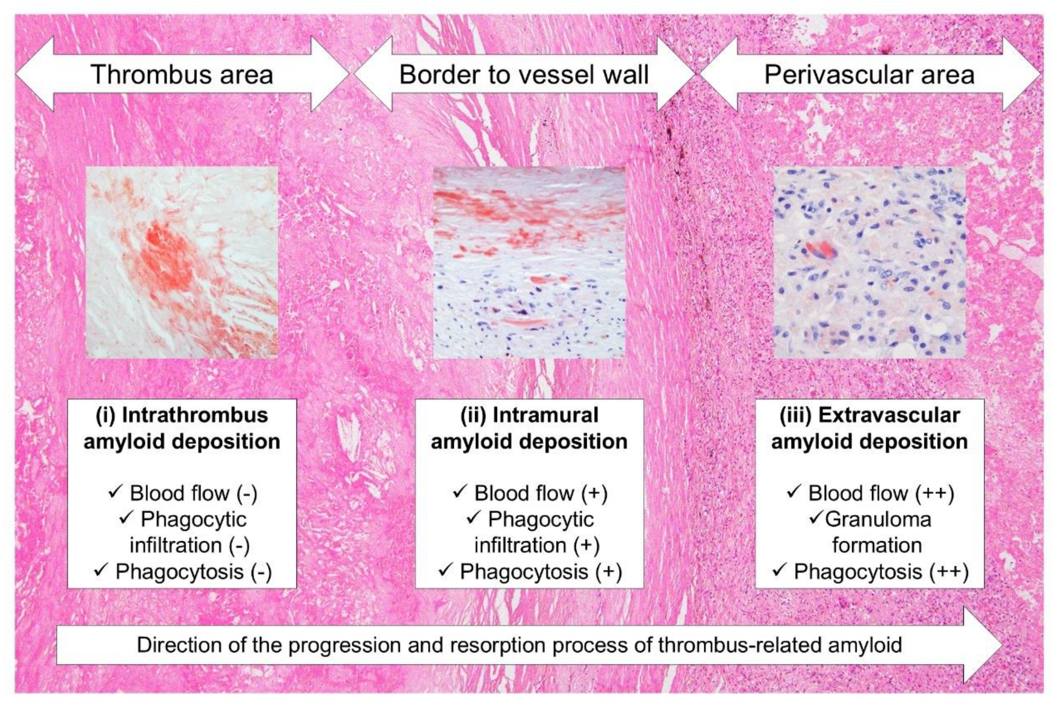 Preprints 155599 g007