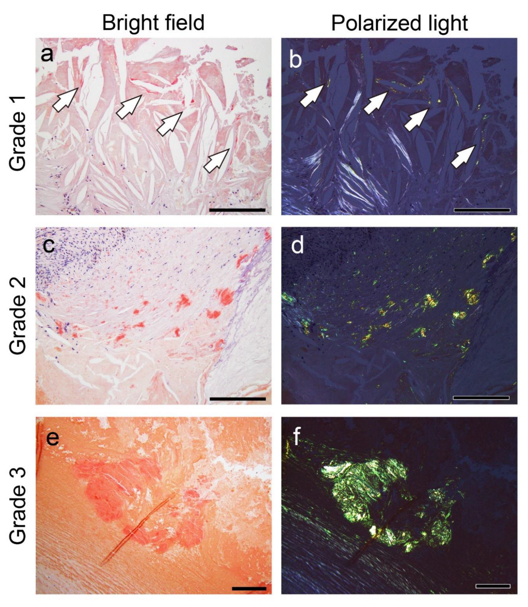Preprints 155599 g008