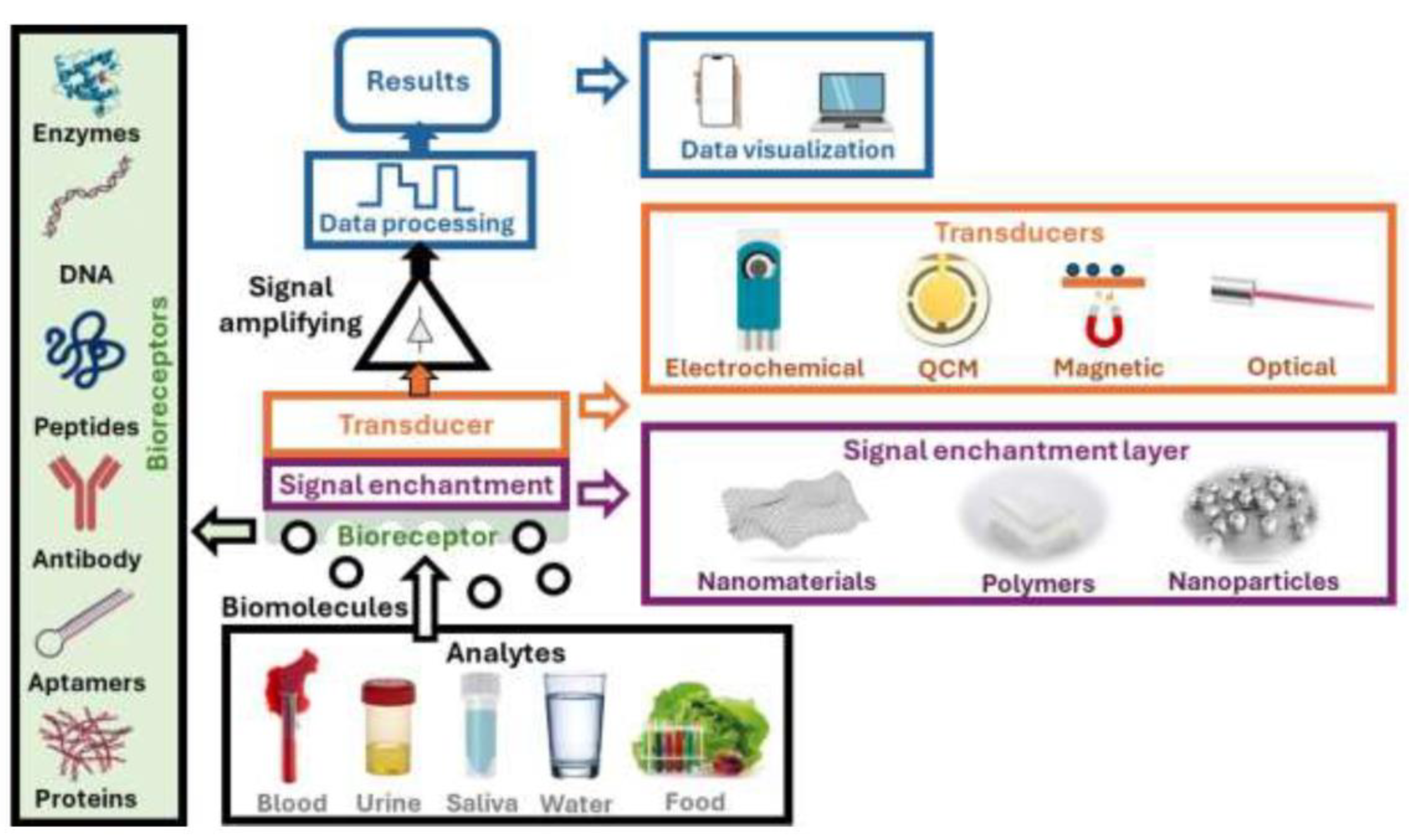Preprints 147040 g001