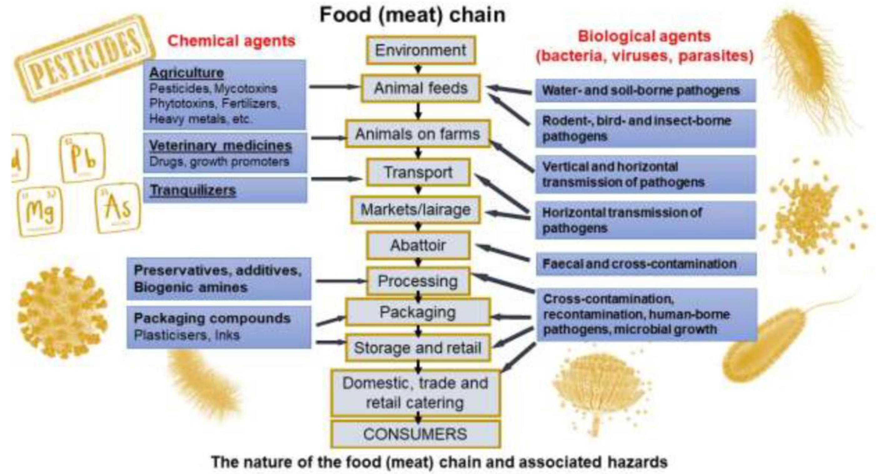 Preprints 147040 g002