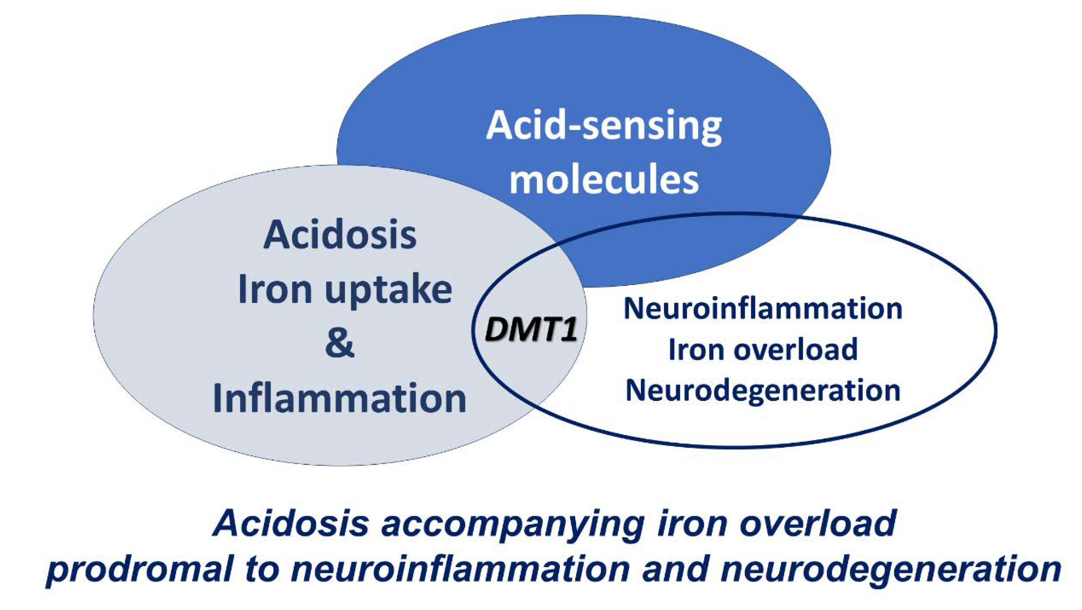 Preprints 109100 g002