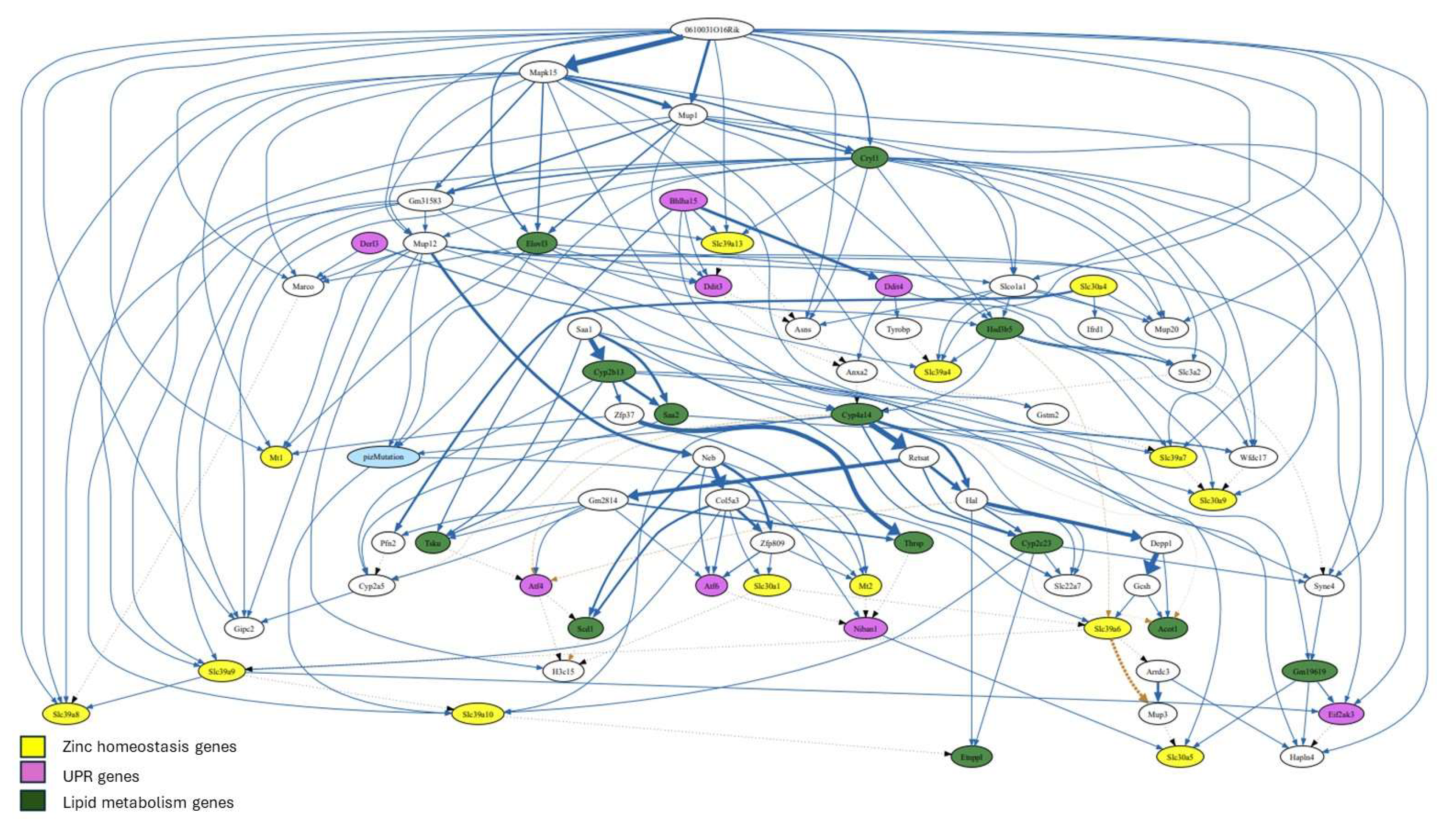 Preprints 158472 g005