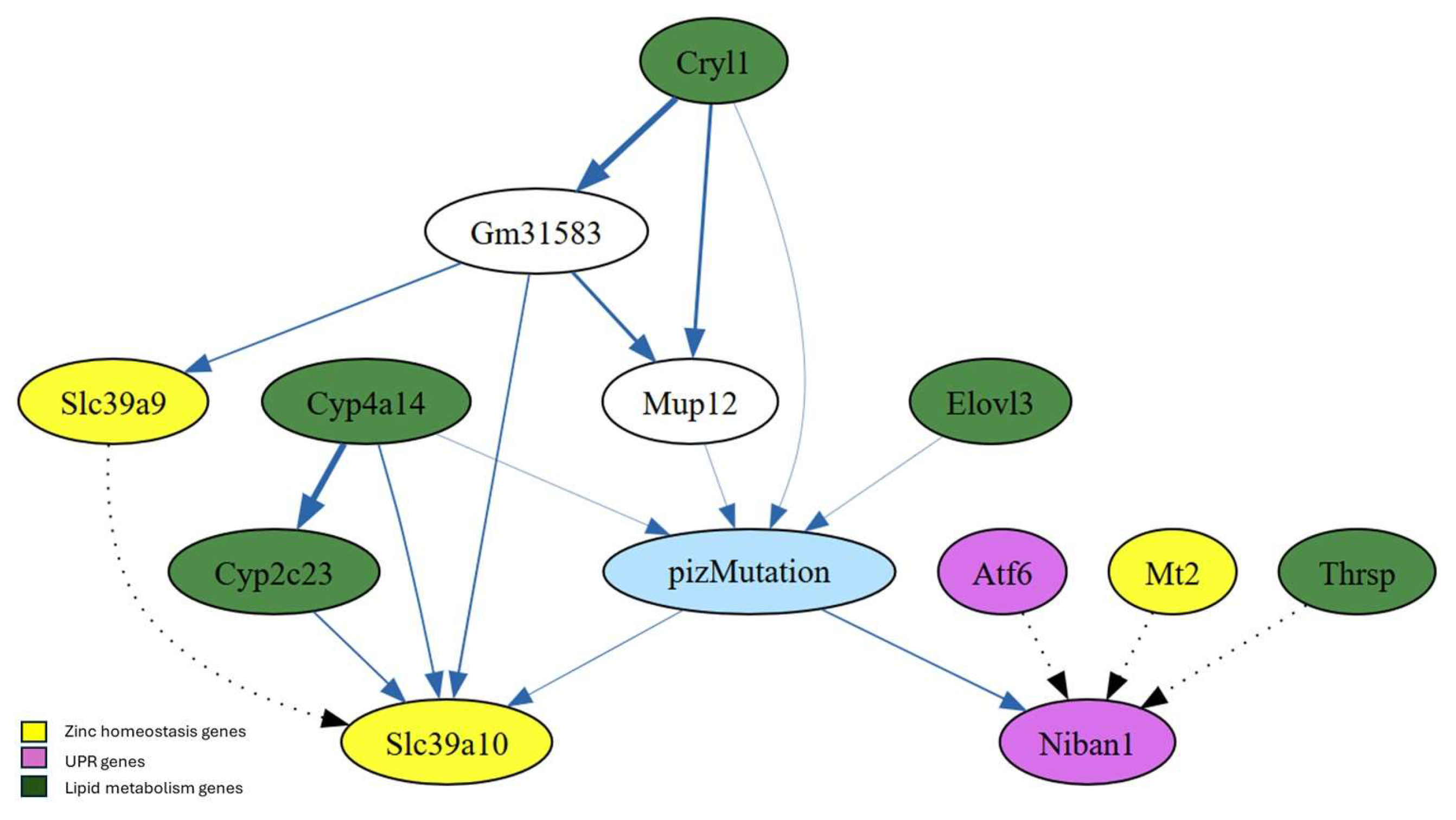 Preprints 158472 g006
