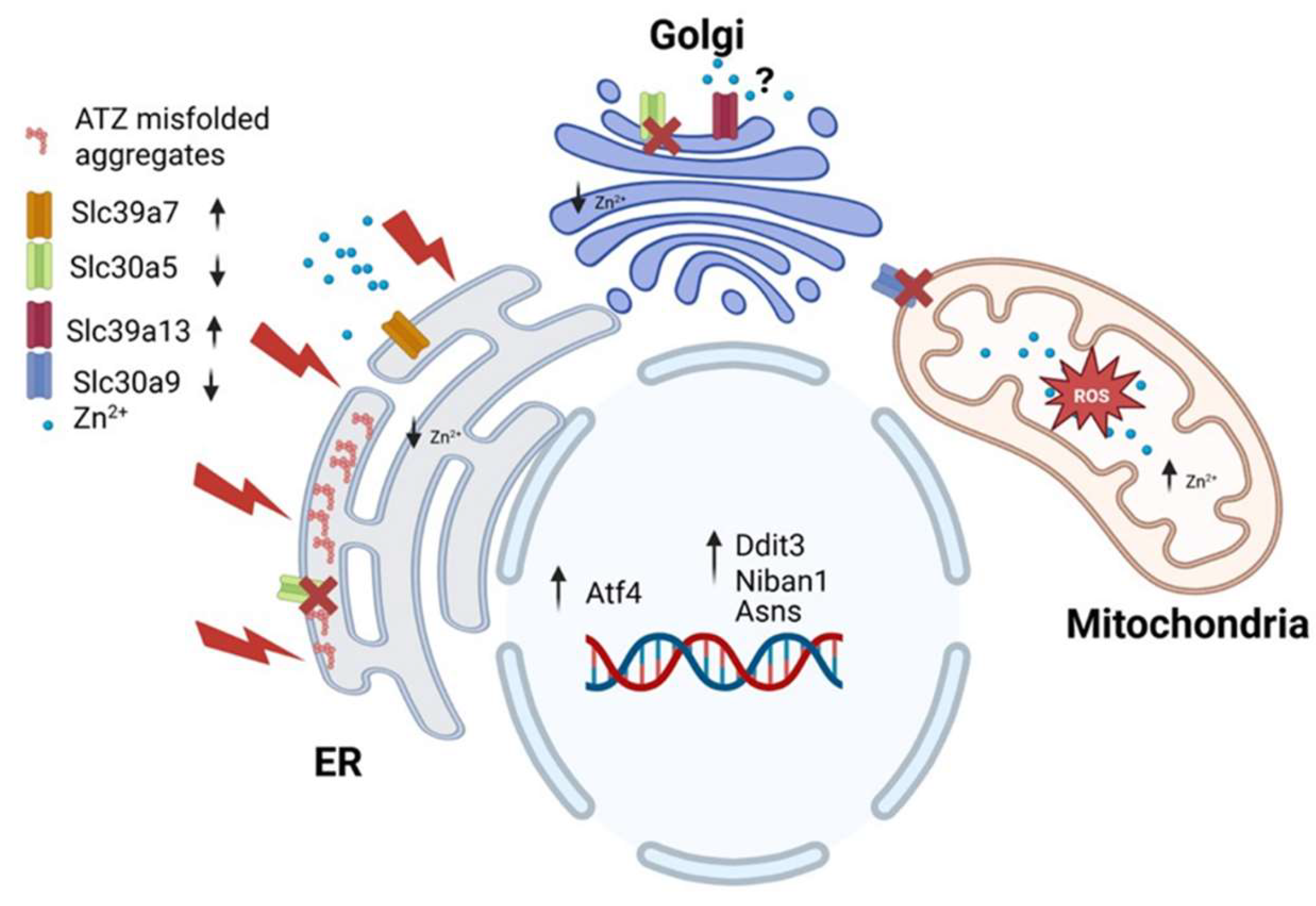 Preprints 158472 g007