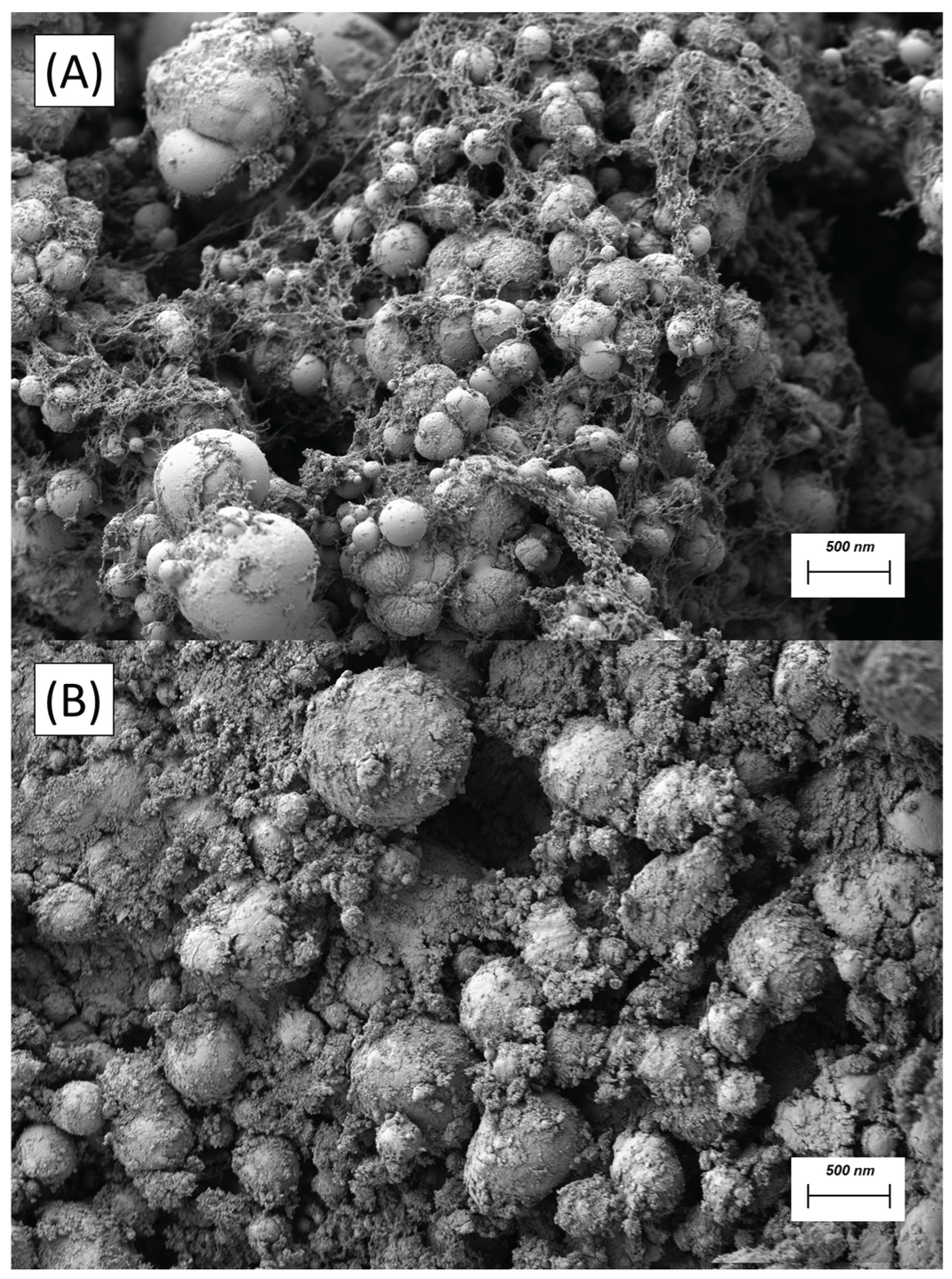 Preprints 162143 g006