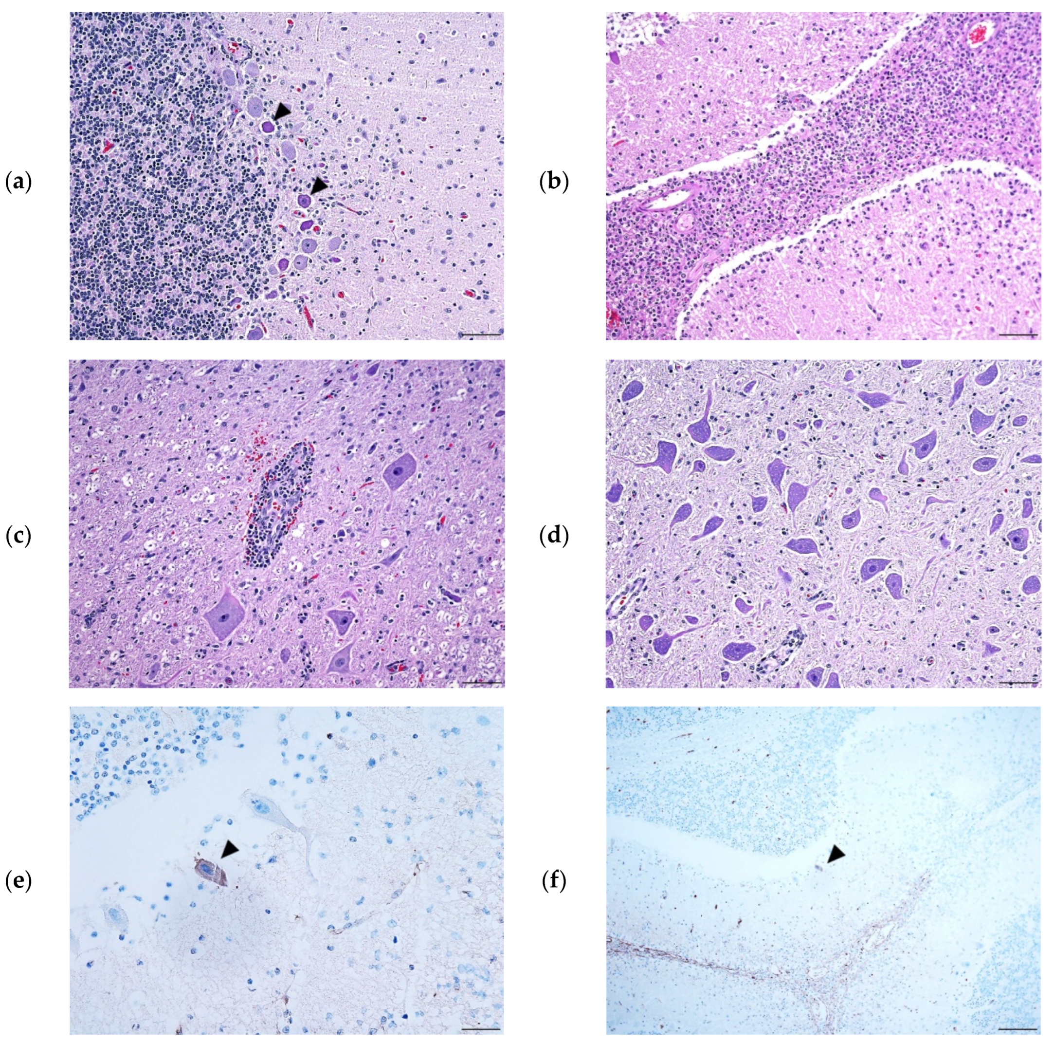 Preprints 75503 g002a