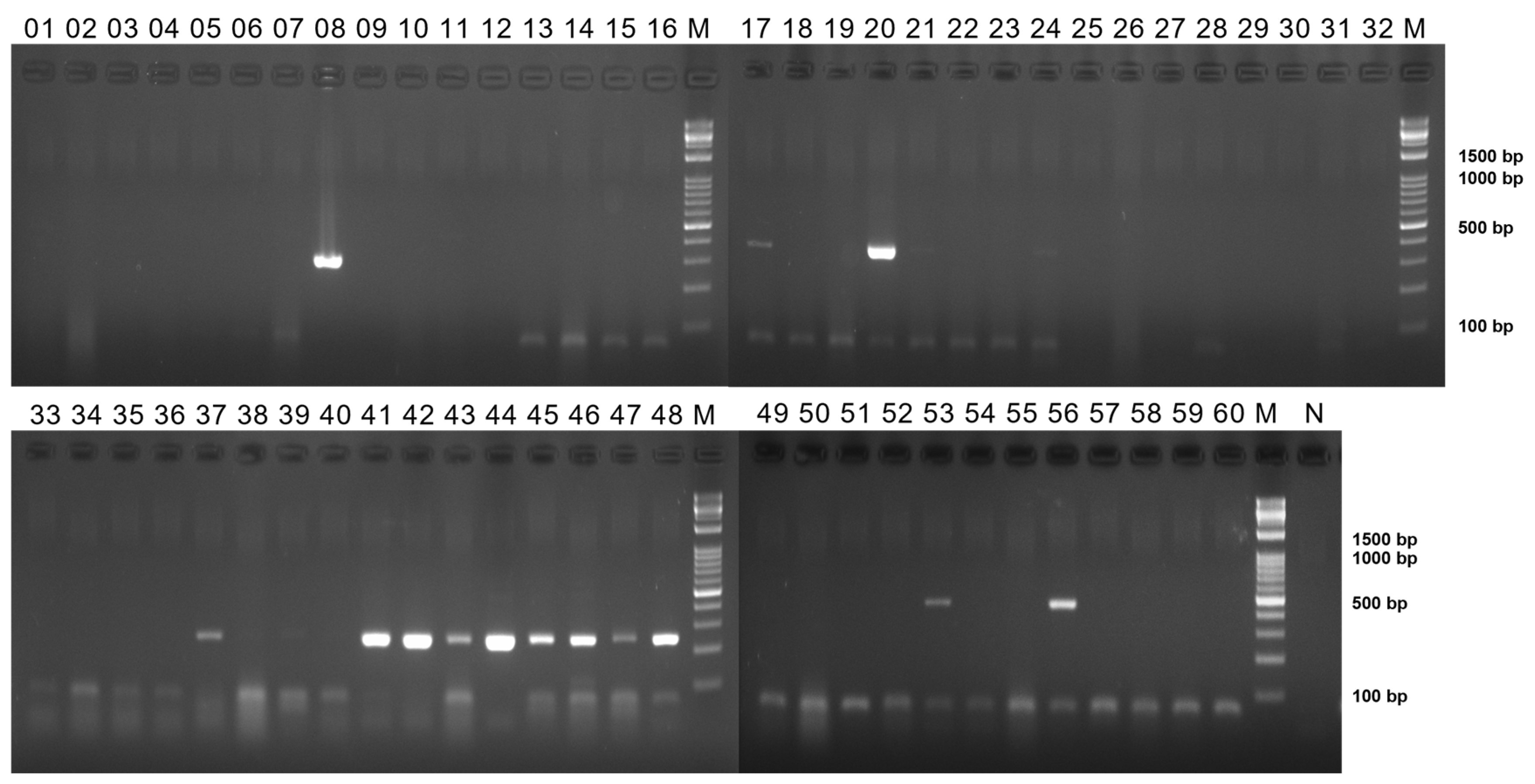Preprints 75503 g0a1