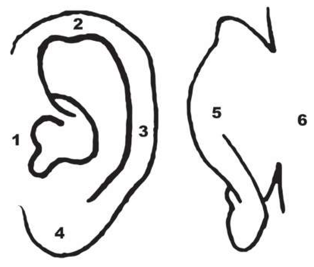 Preprints 172339 g001