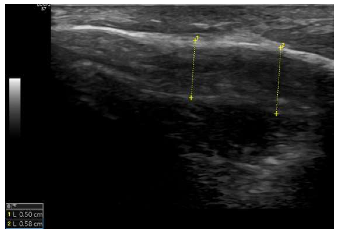 Preprints 172339 g002