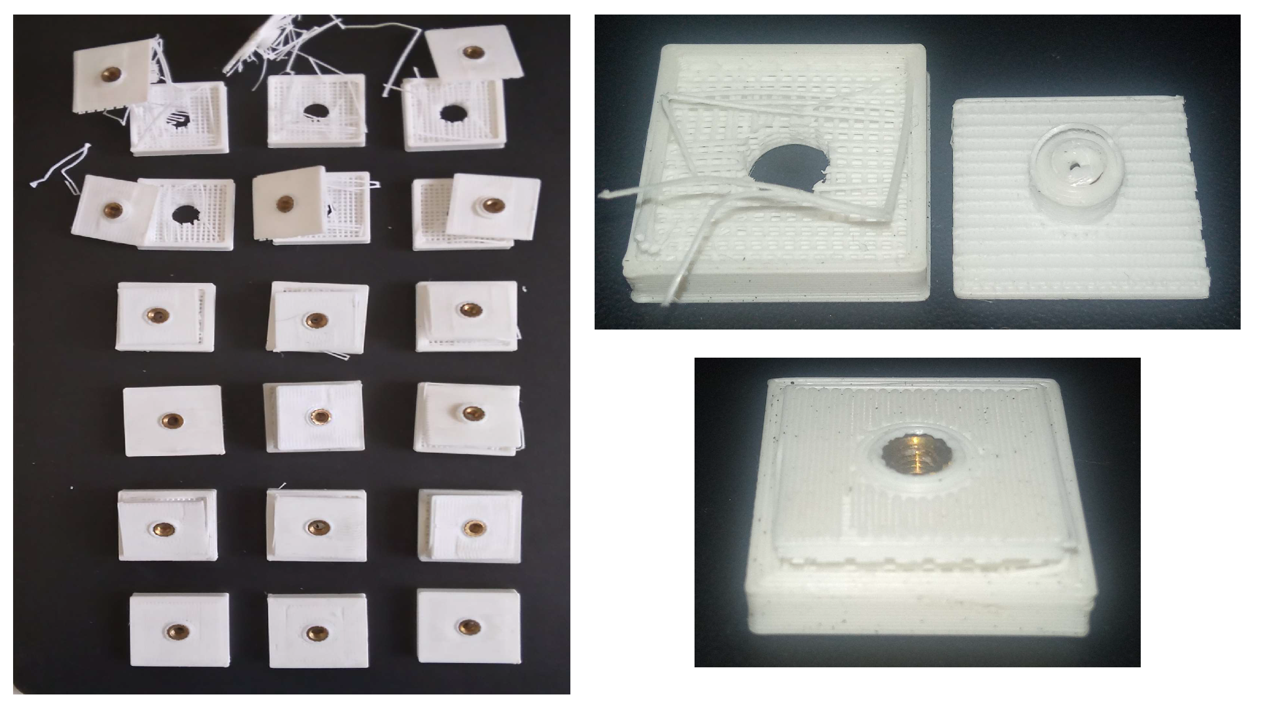 Preprints 156864 g011