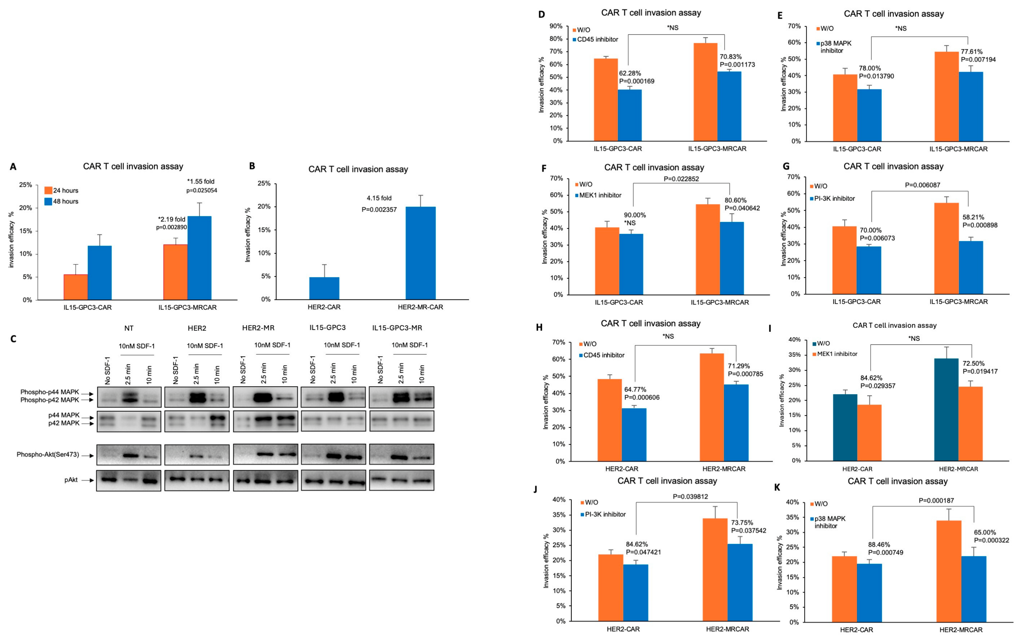 Preprints 232748 g003