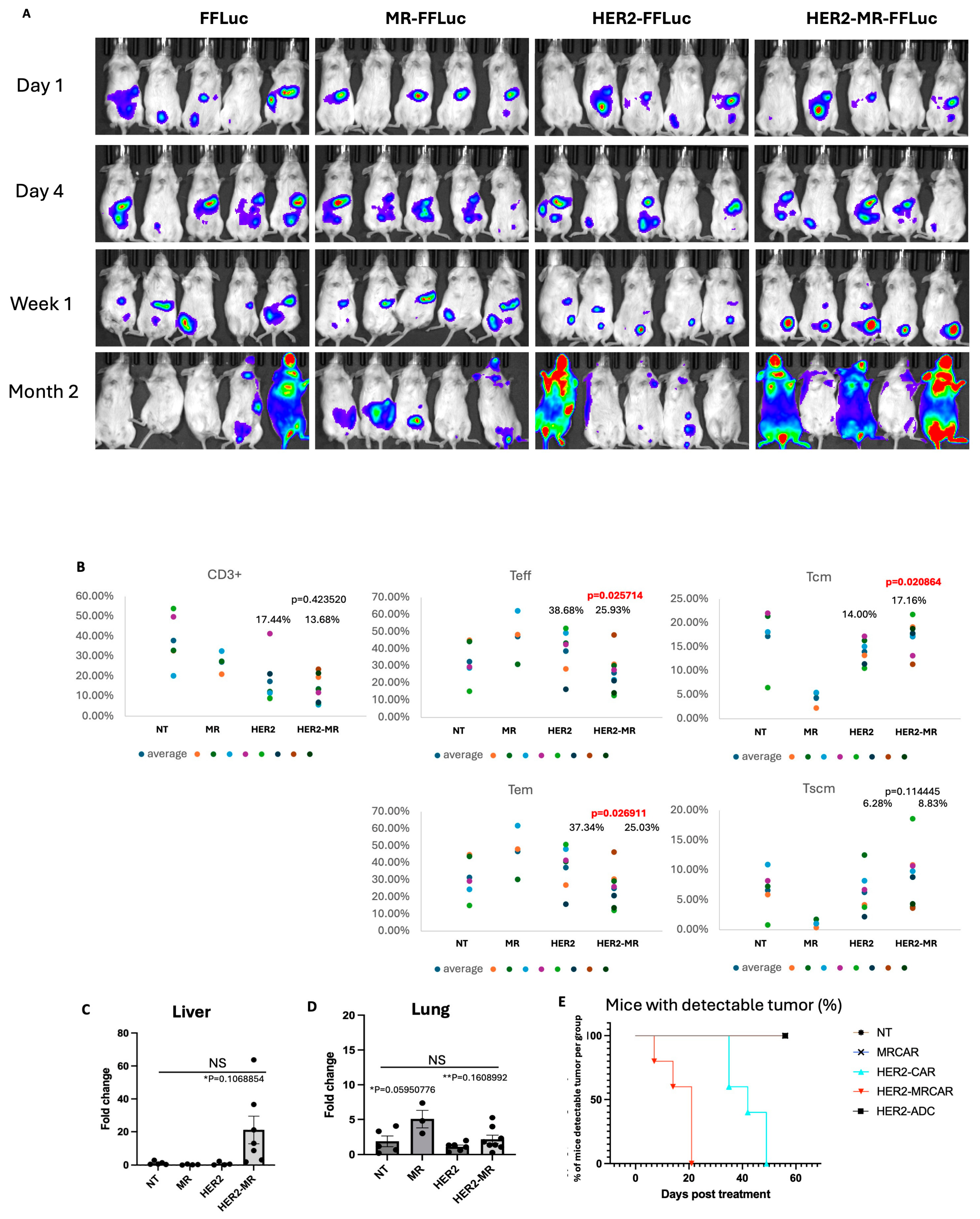 Preprints 232748 g005
