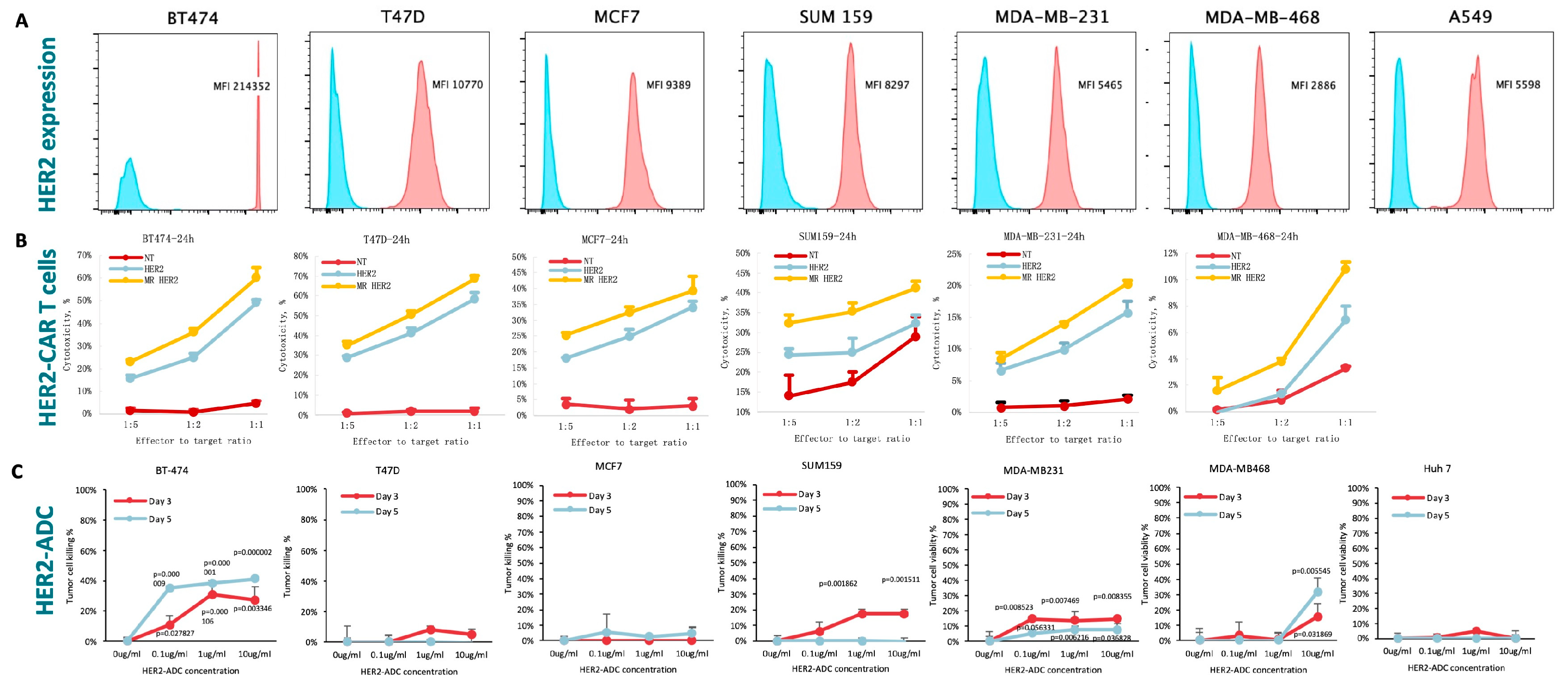 Preprints 232748 sch001