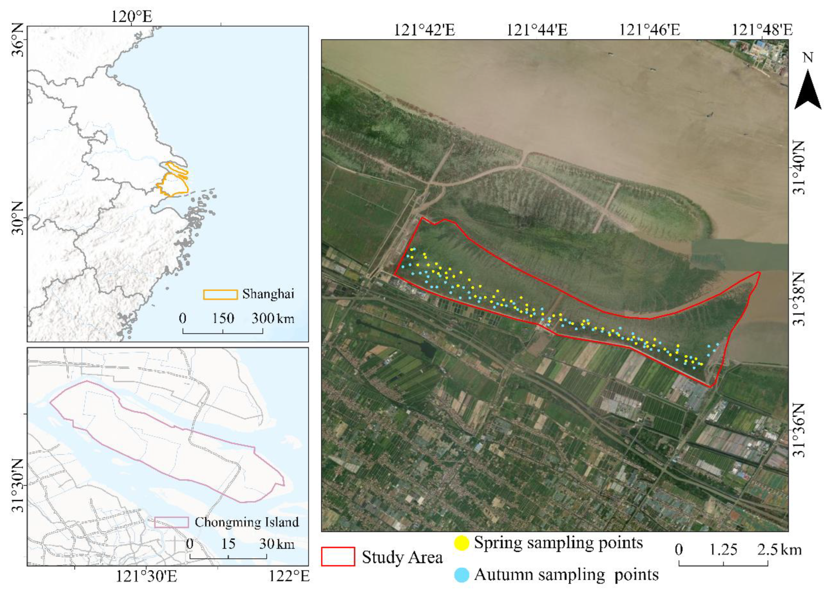 Preprints 187845 g001
