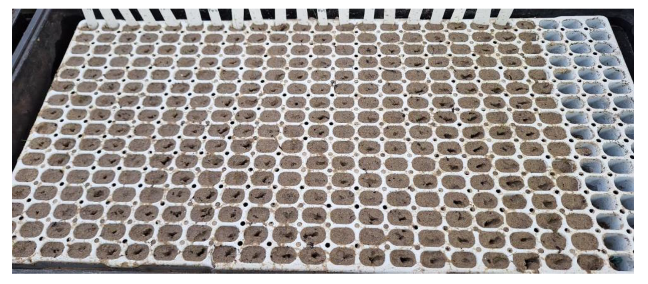 Preprints 111144 g002