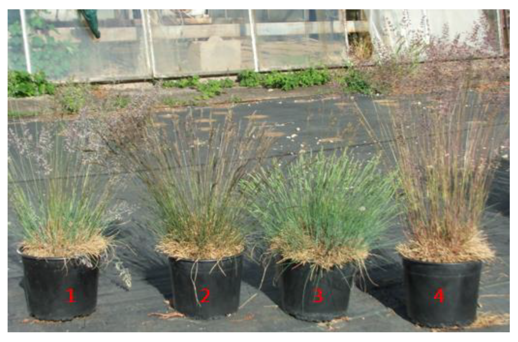 Preprints 111144 g003