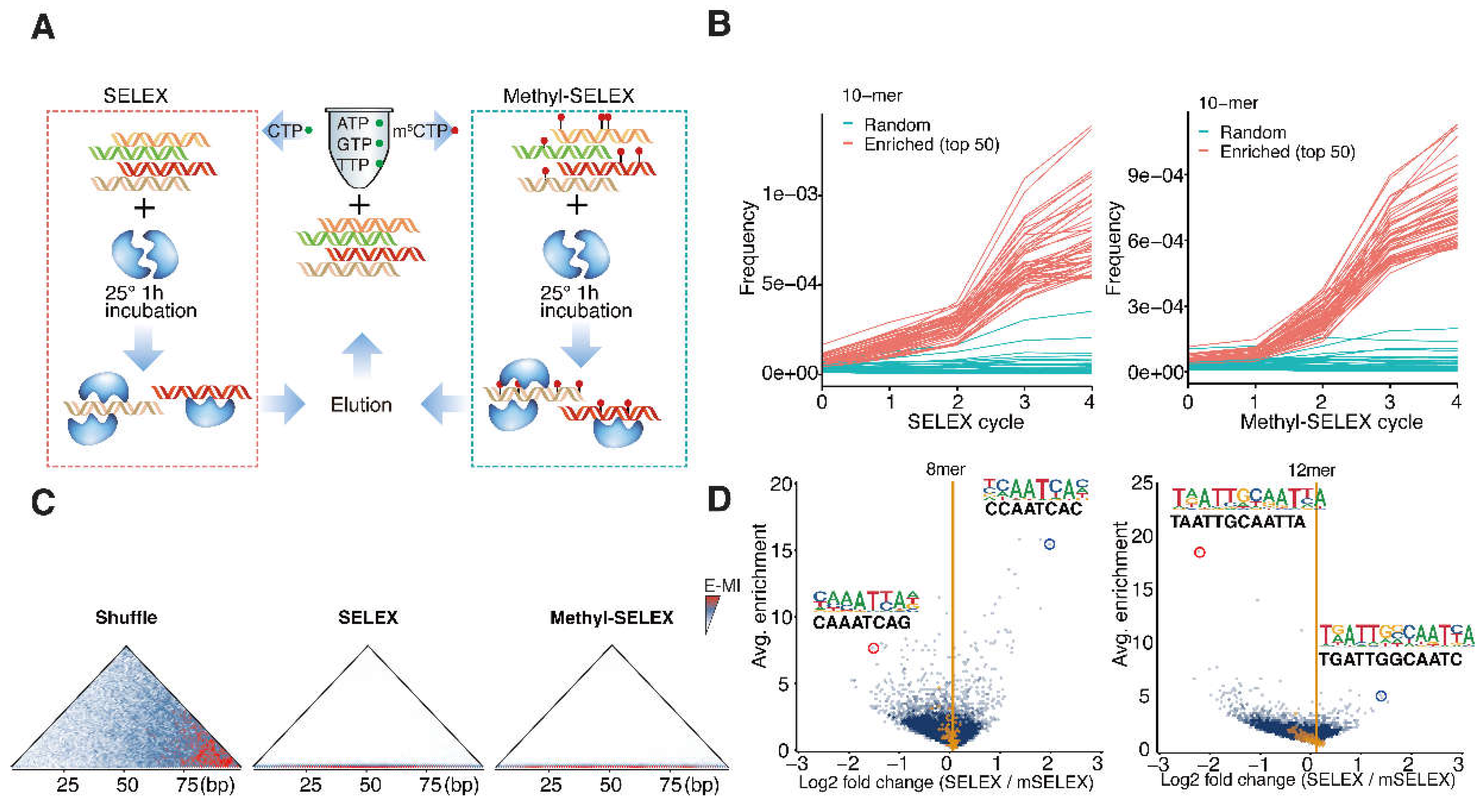 Preprints 141796 g001