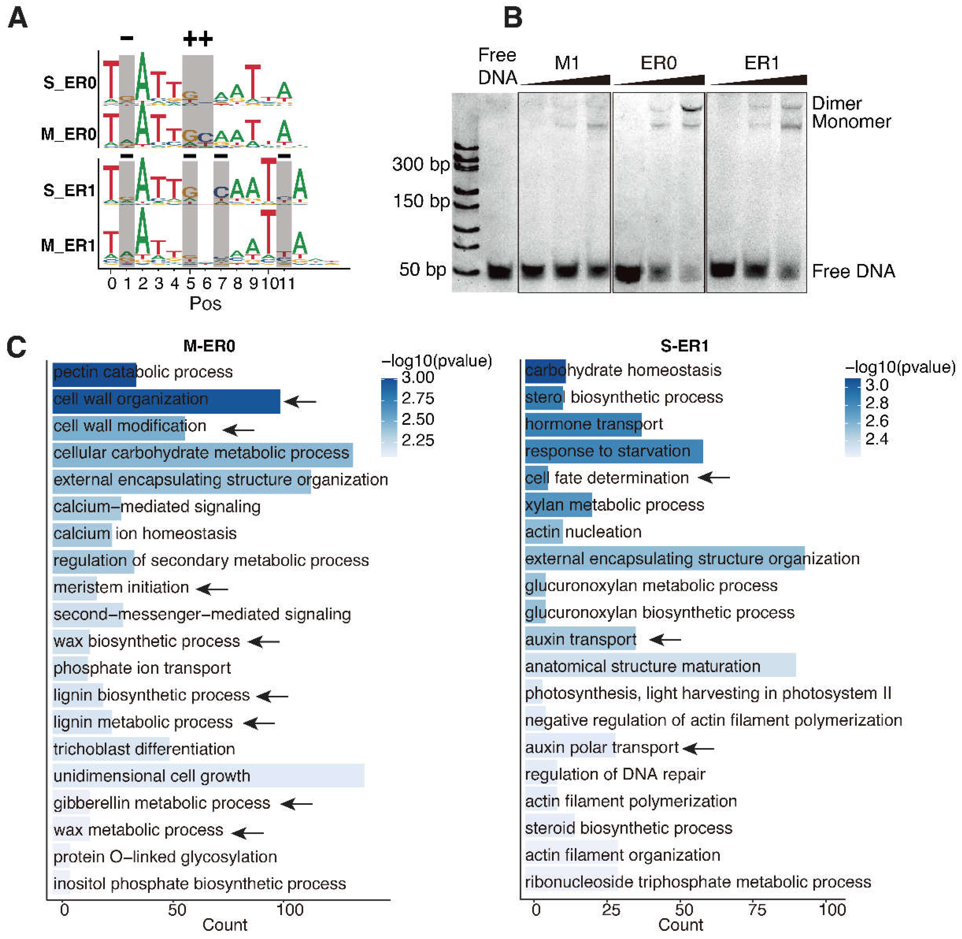 Preprints 141796 g003