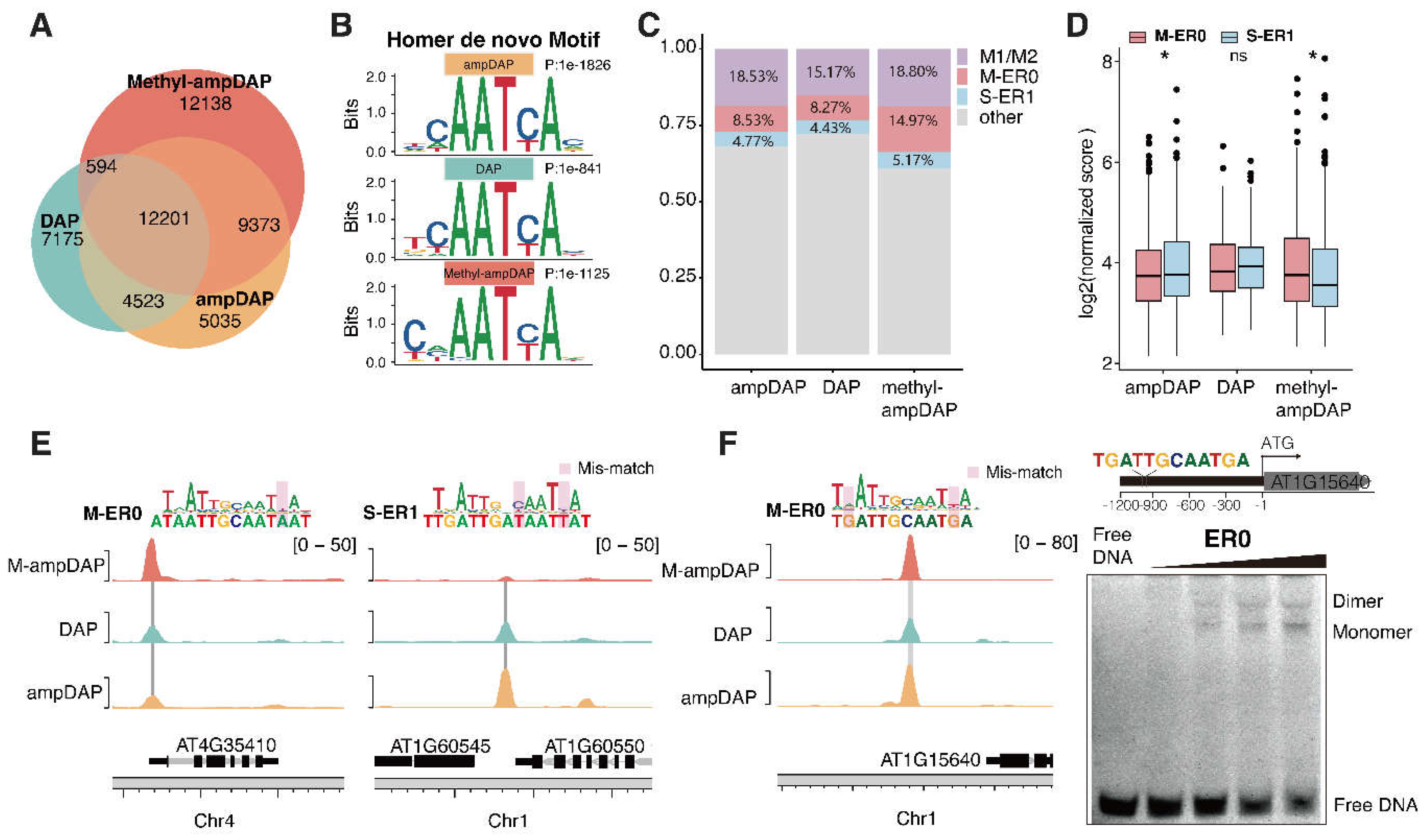 Preprints 141796 g004