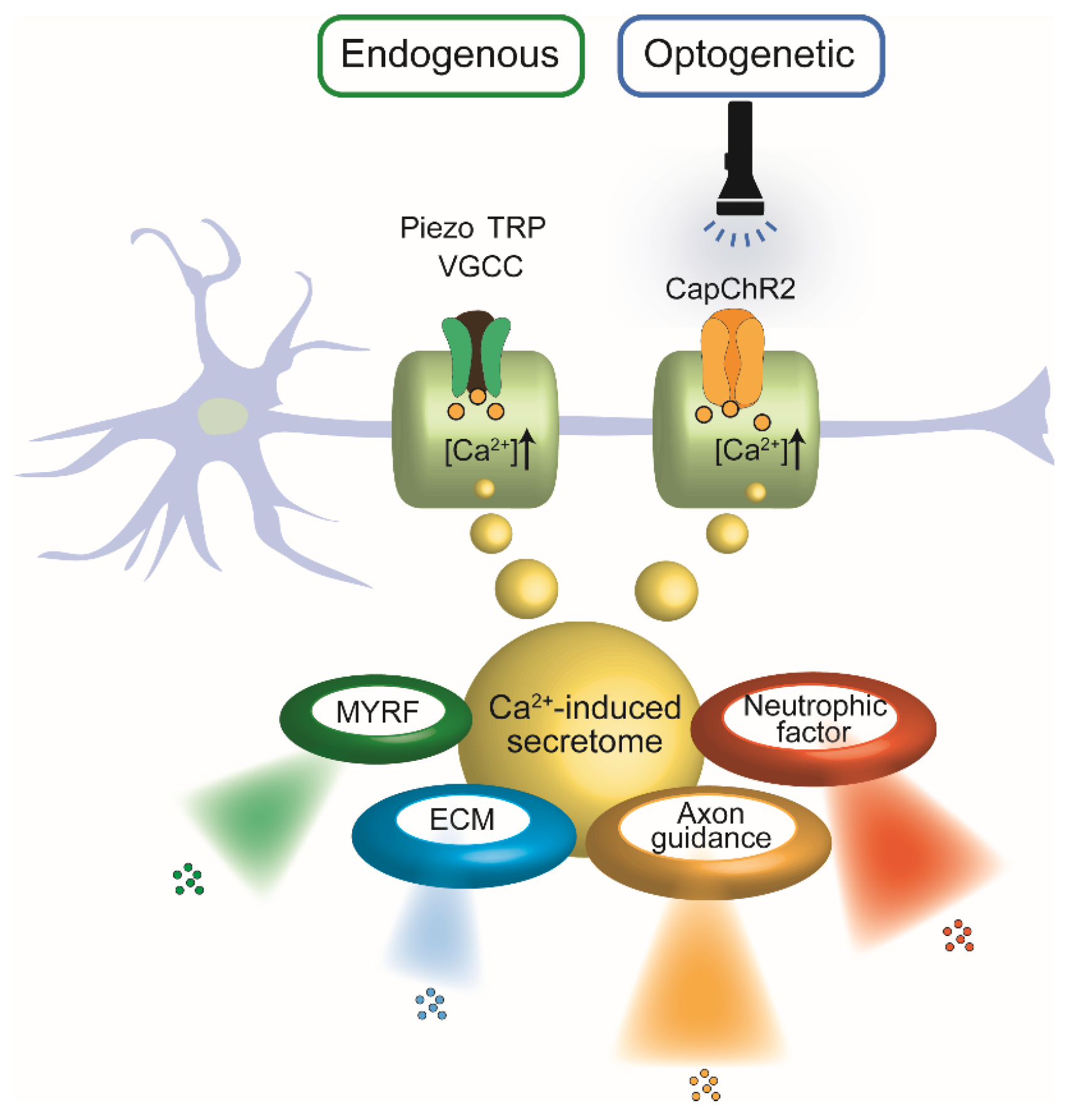Preprints 173460 g001