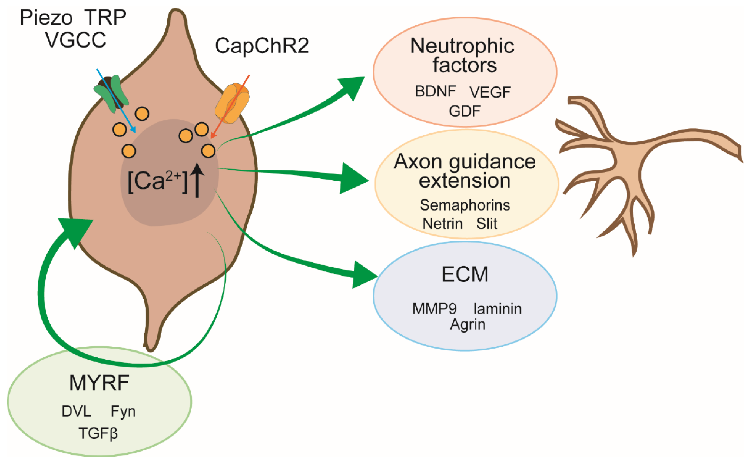 Preprints 173460 g002