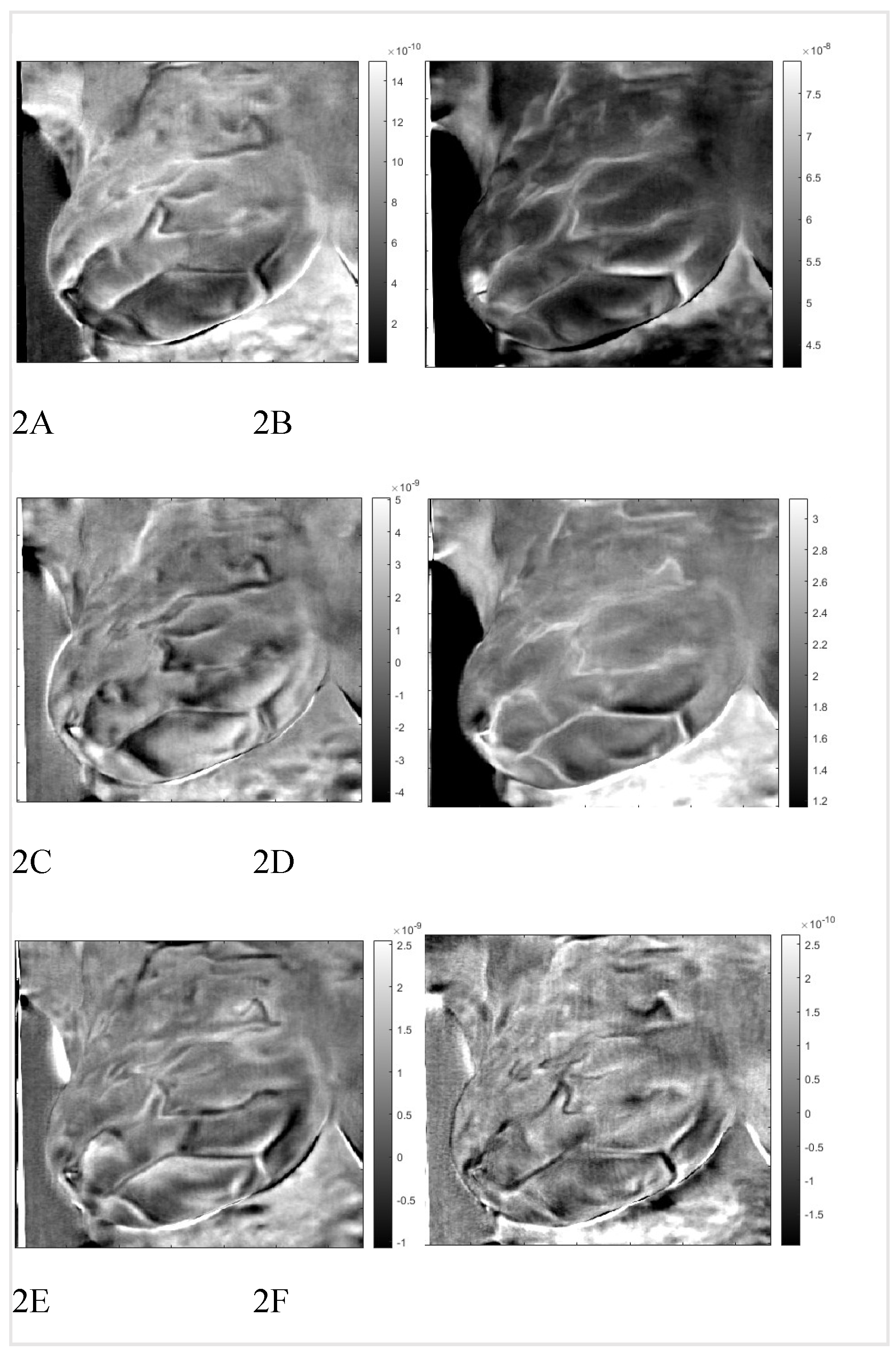 Preprints 68607 g002