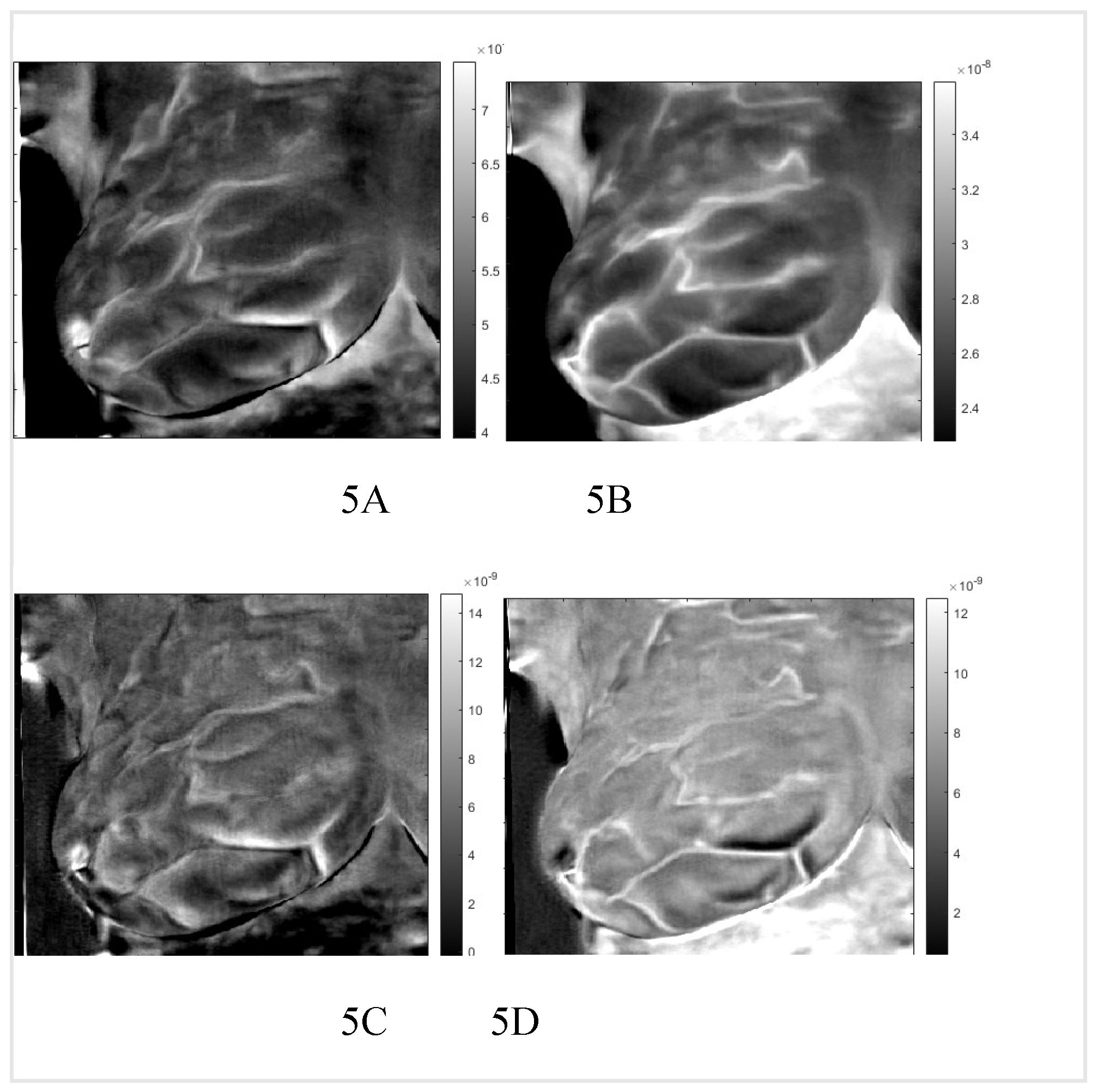 Preprints 68607 g005