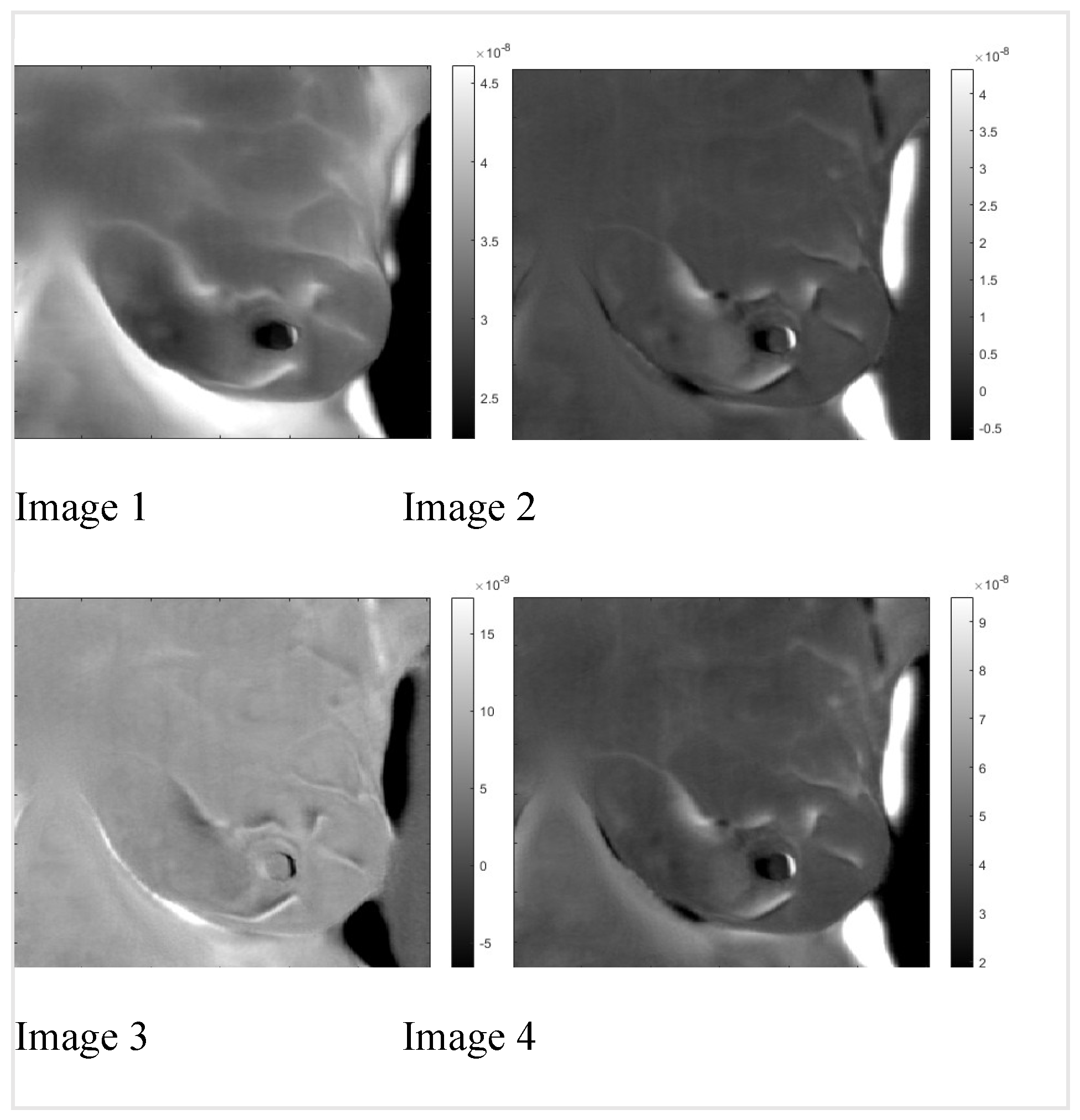 Preprints 68607 g007
