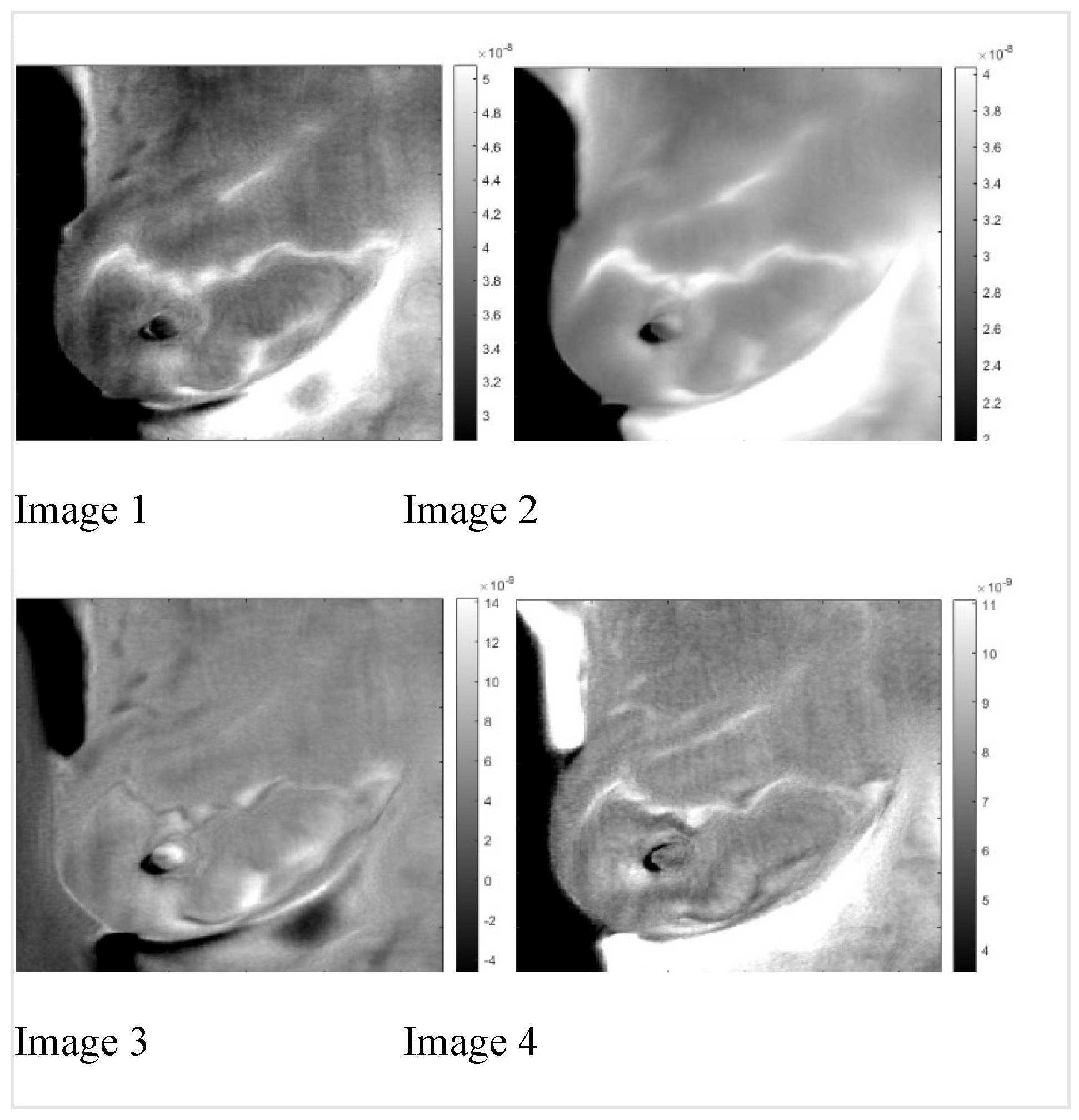 Preprints 68607 g008